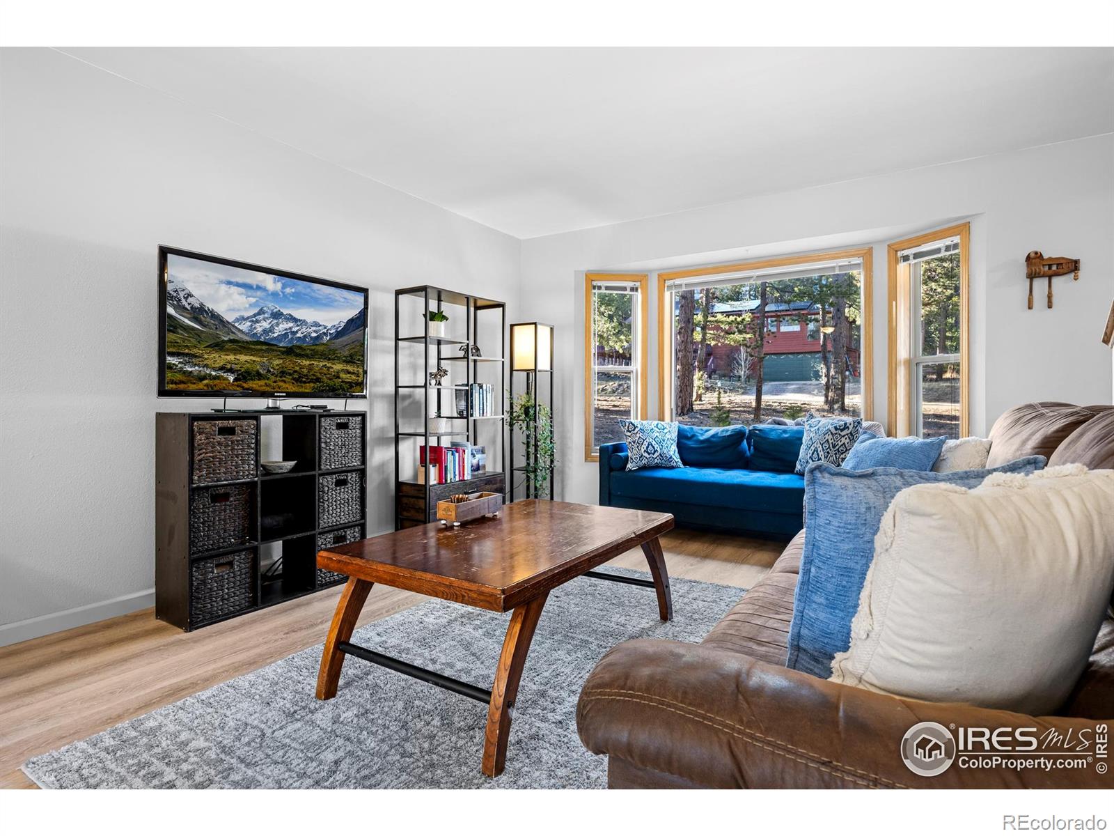 MLS Image #7 for 477  horseshoe place,nederland, Colorado