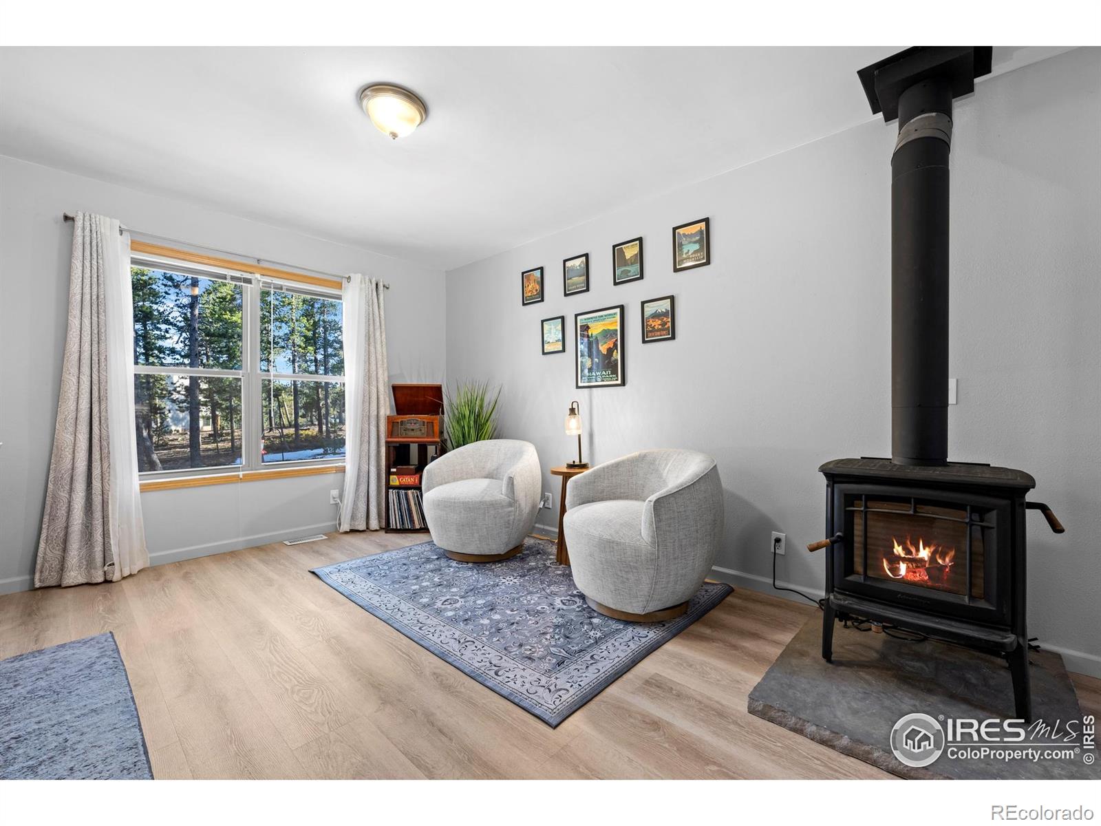 MLS Image #9 for 477  horseshoe place,nederland, Colorado
