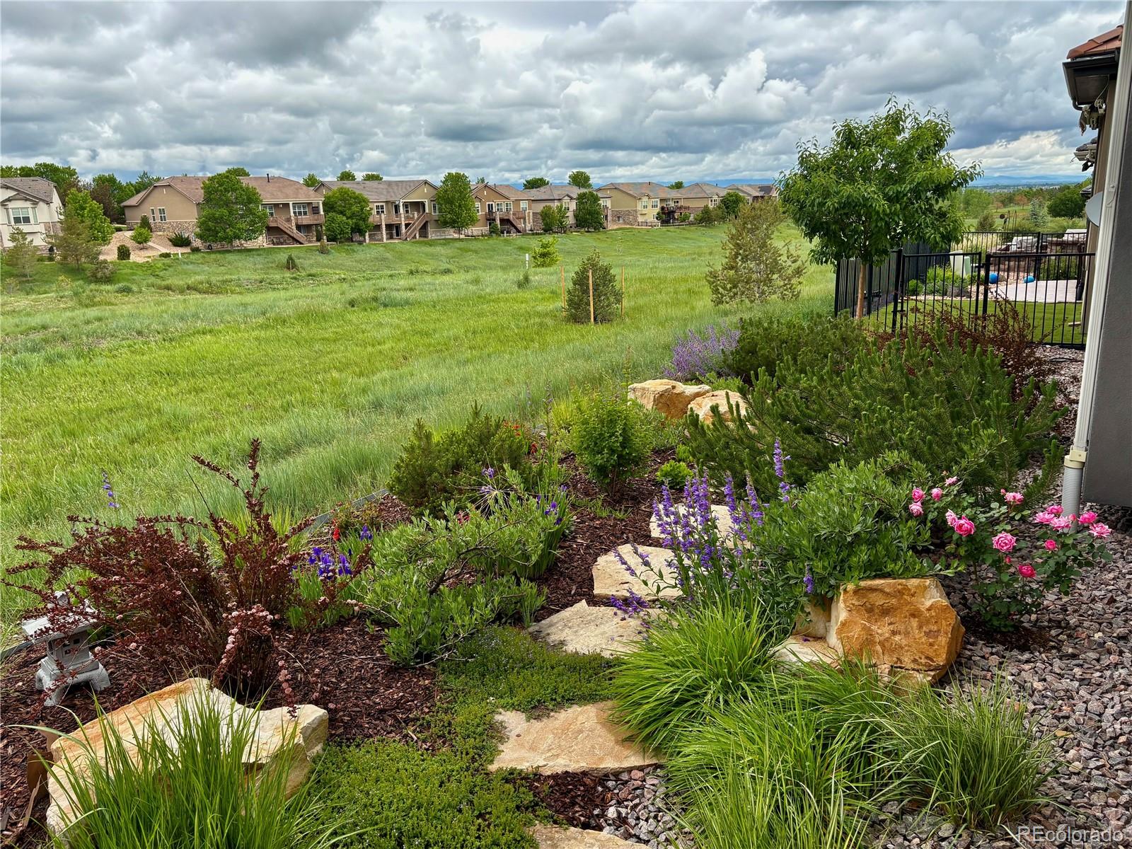 MLS Image #1 for 16041  aspen lodge way,broomfield, Colorado