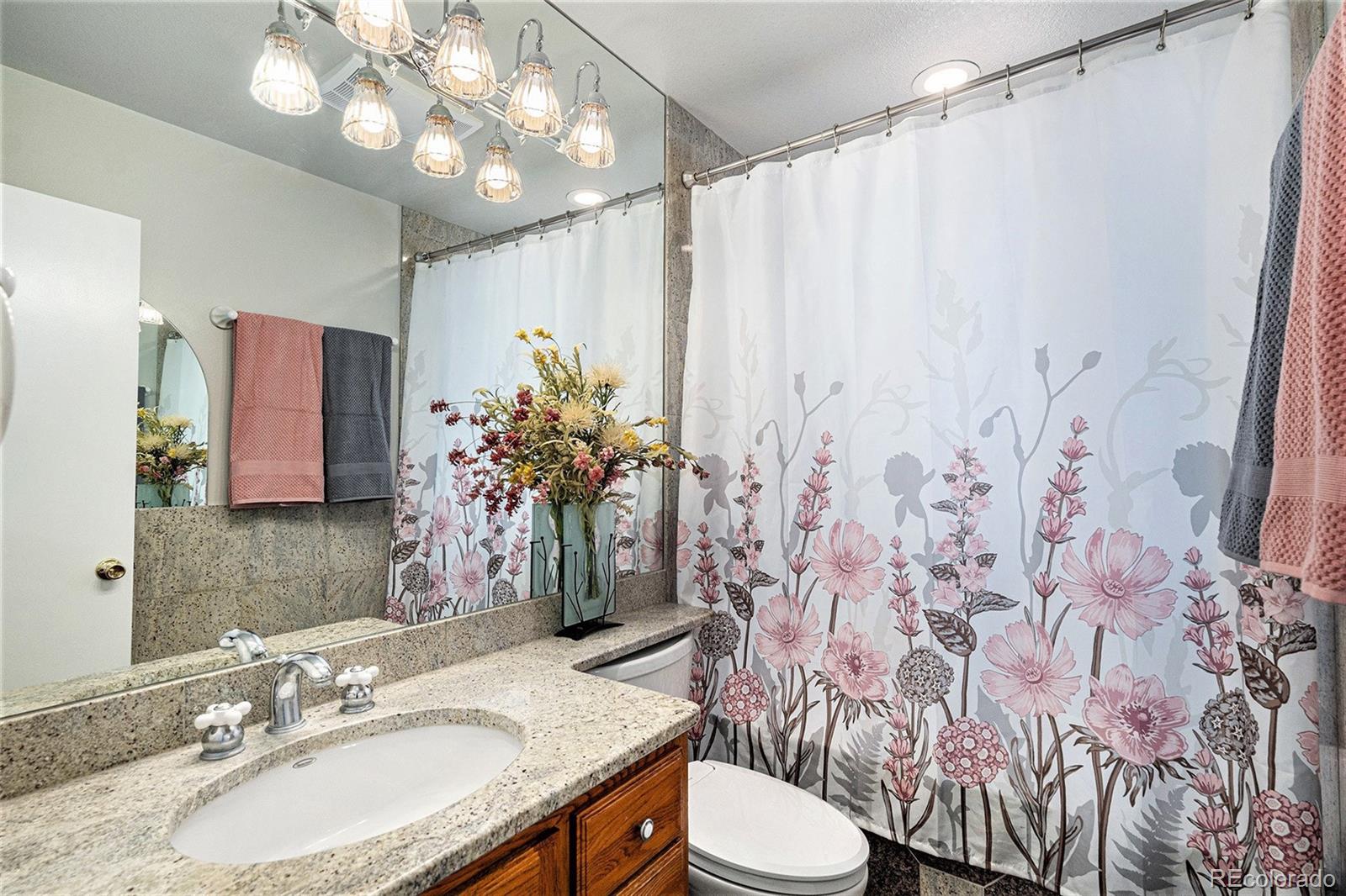 MLS Image #13 for 876 s buchanan street,aurora, Colorado