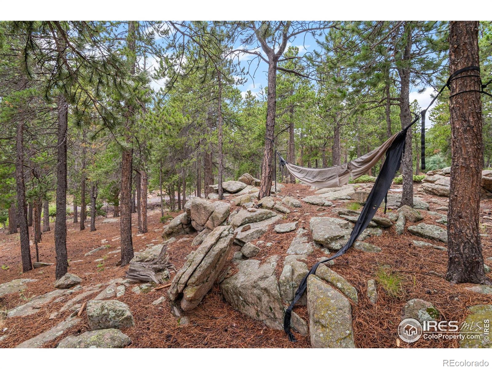 MLS Image #25 for 11718  sidney road,golden, Colorado