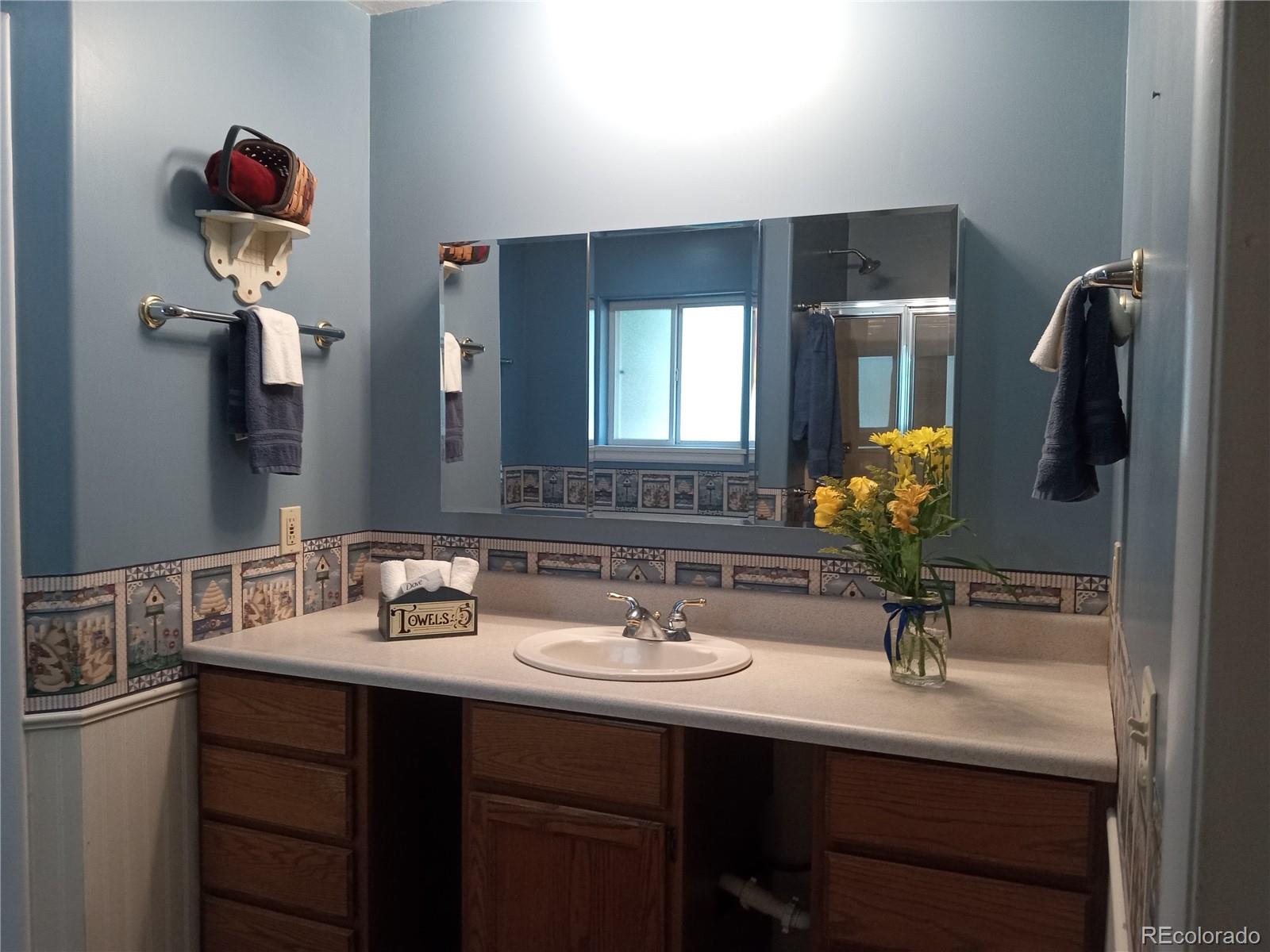 MLS Image #12 for 7150 s platte canyon road,littleton, Colorado