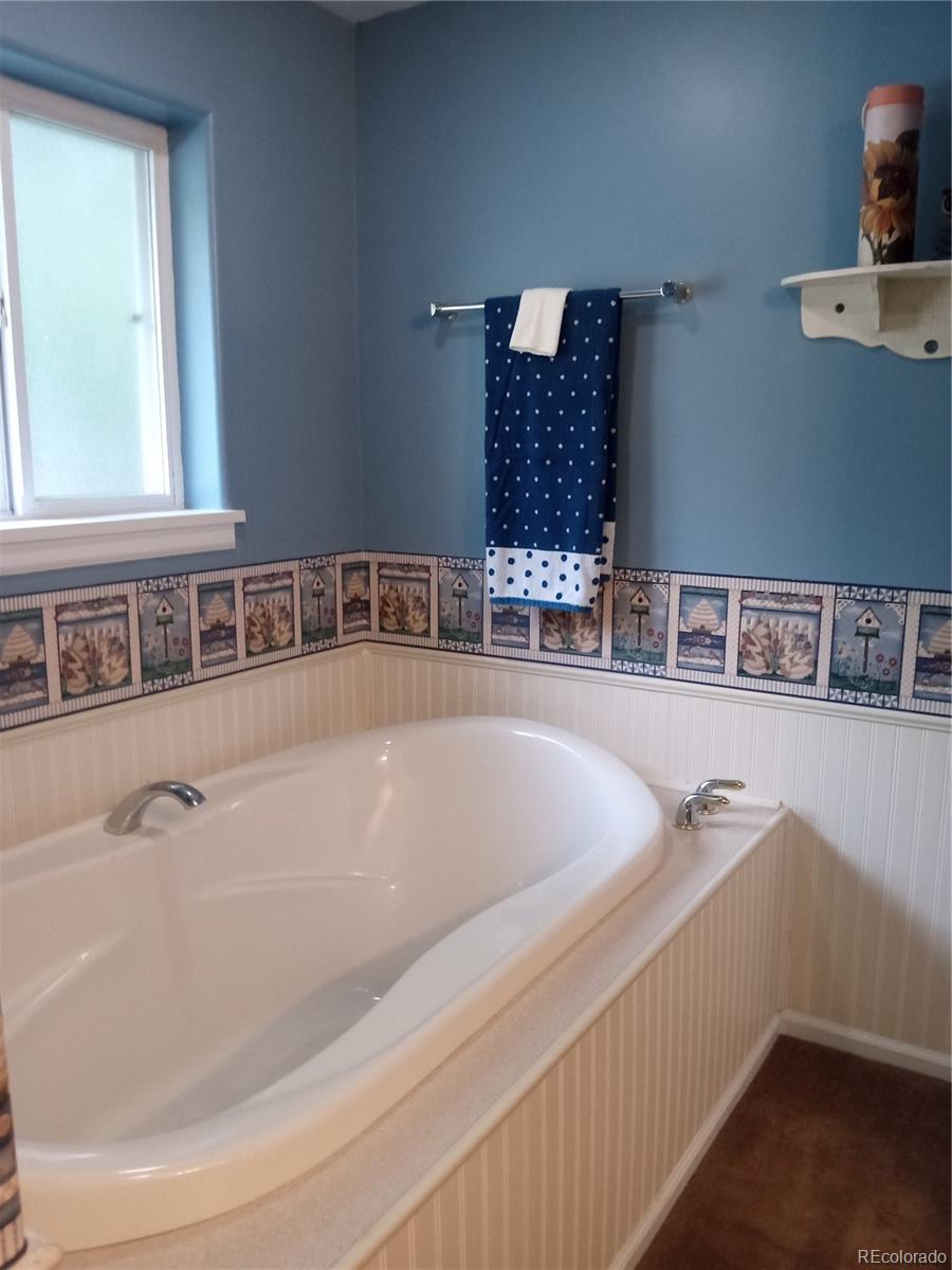 MLS Image #13 for 7150 s platte canyon road,littleton, Colorado