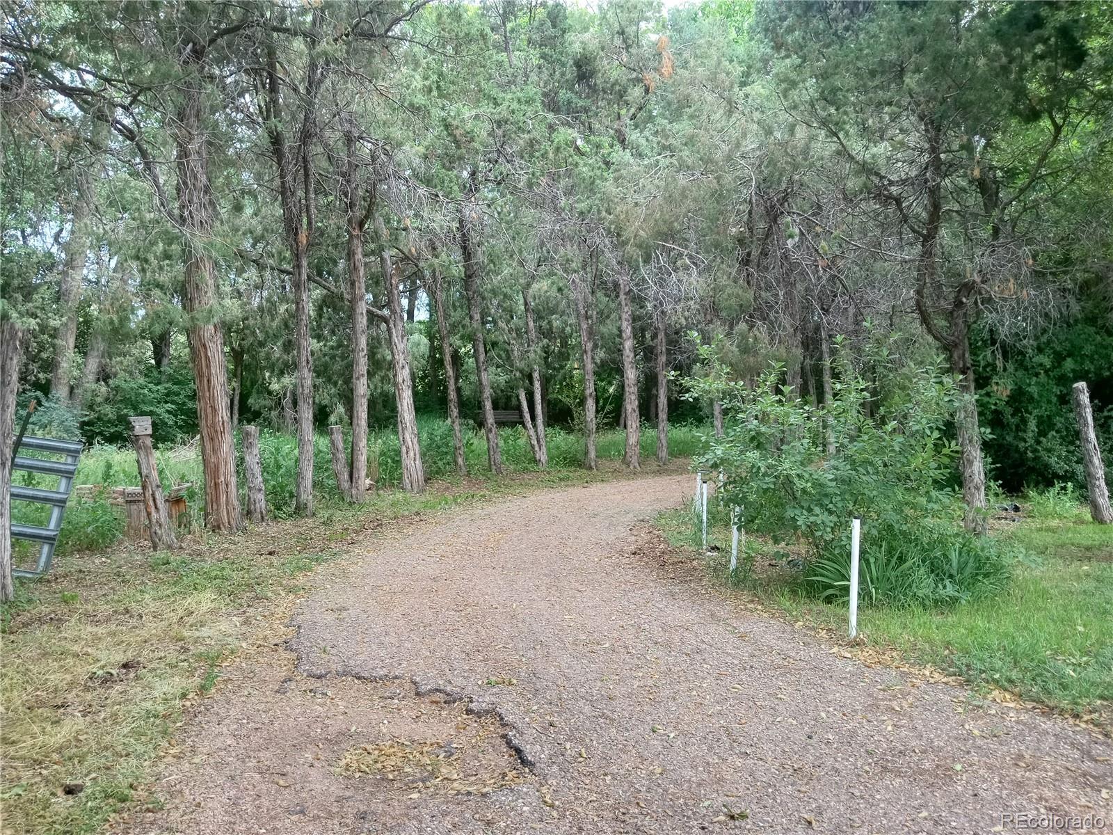 MLS Image #5 for 7150 s platte canyon road,littleton, Colorado