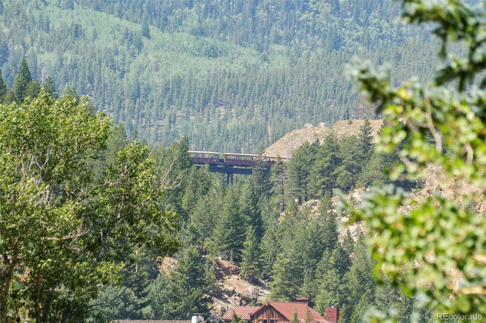 MLS Image #10 for 203  9th street,georgetown, Colorado