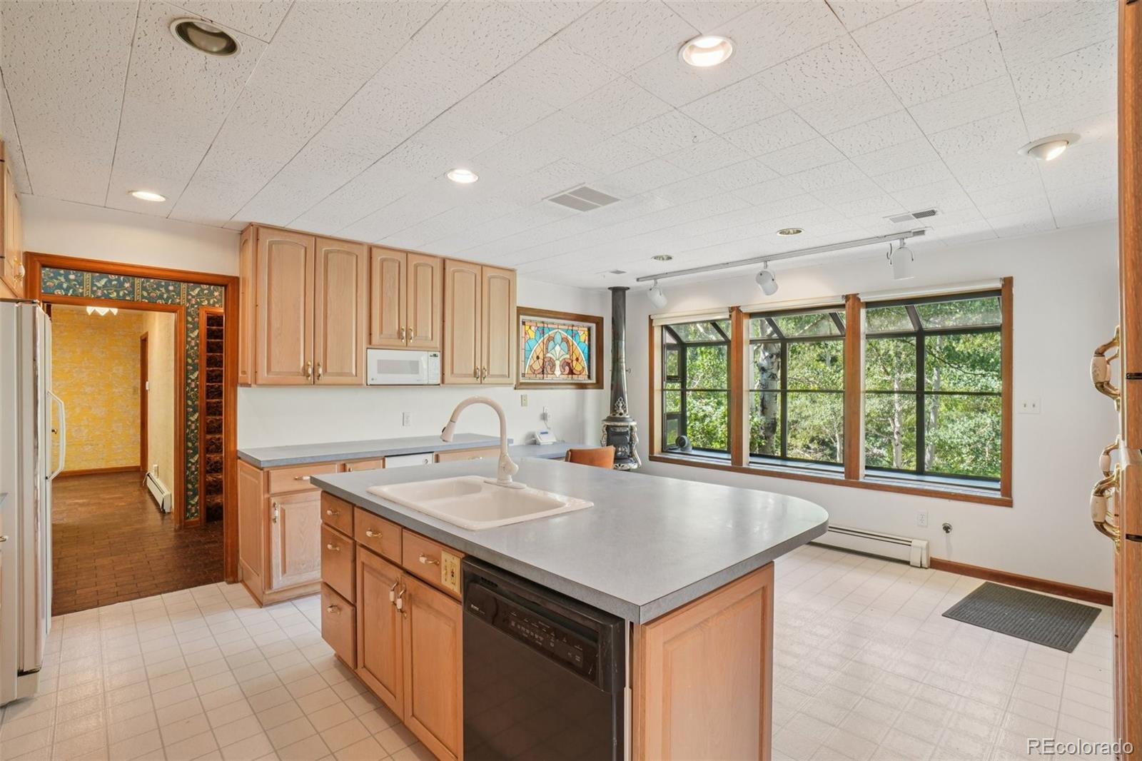 MLS Image #27 for 203  9th street,georgetown, Colorado