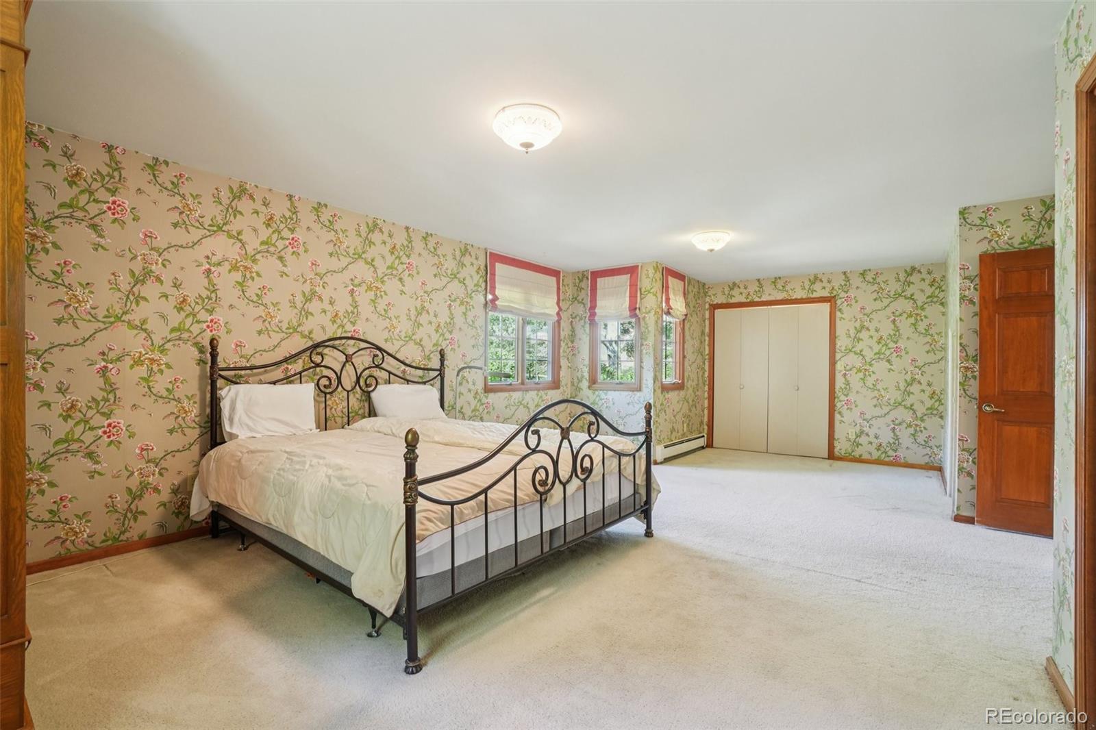 MLS Image #38 for 203  9th street,georgetown, Colorado