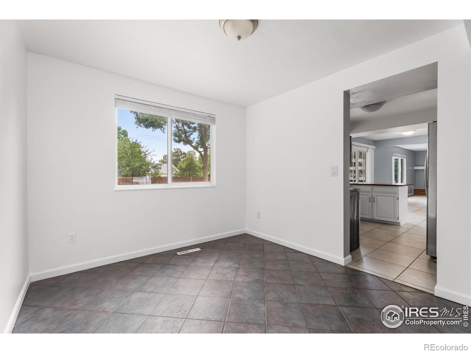 MLS Image #11 for 3036  rustic court,fort collins, Colorado