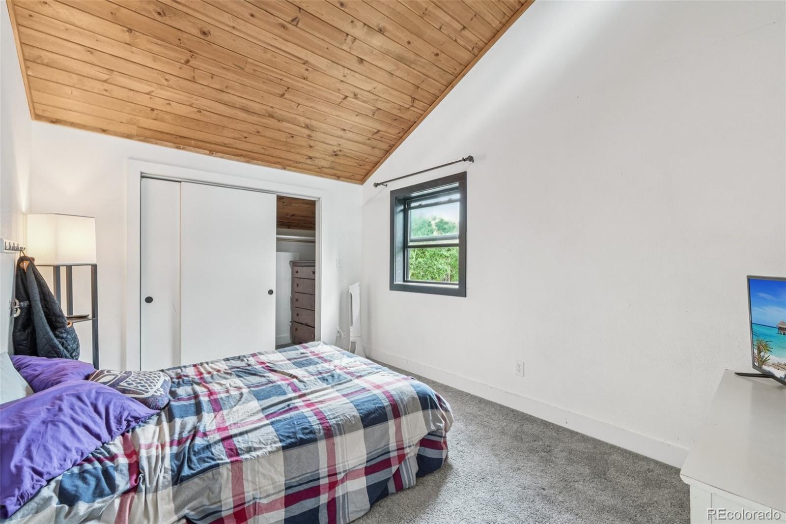 MLS Image #27 for 1280  highpoint circle,black hawk, Colorado