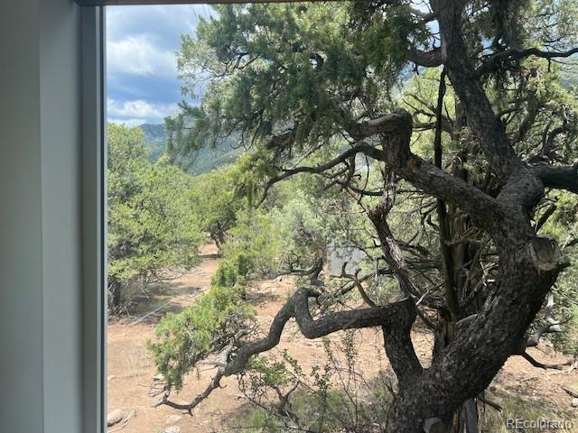 MLS Image #6 for 3580  alfresco way,crestone, Colorado