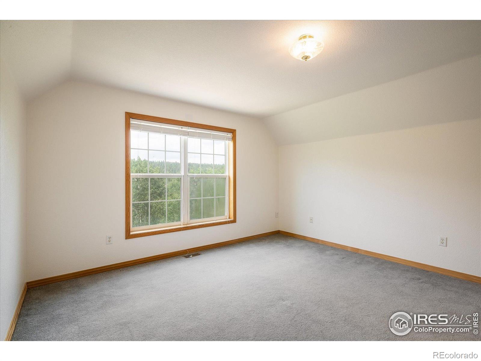MLS Image #11 for 316  umatilla drive,black hawk, Colorado