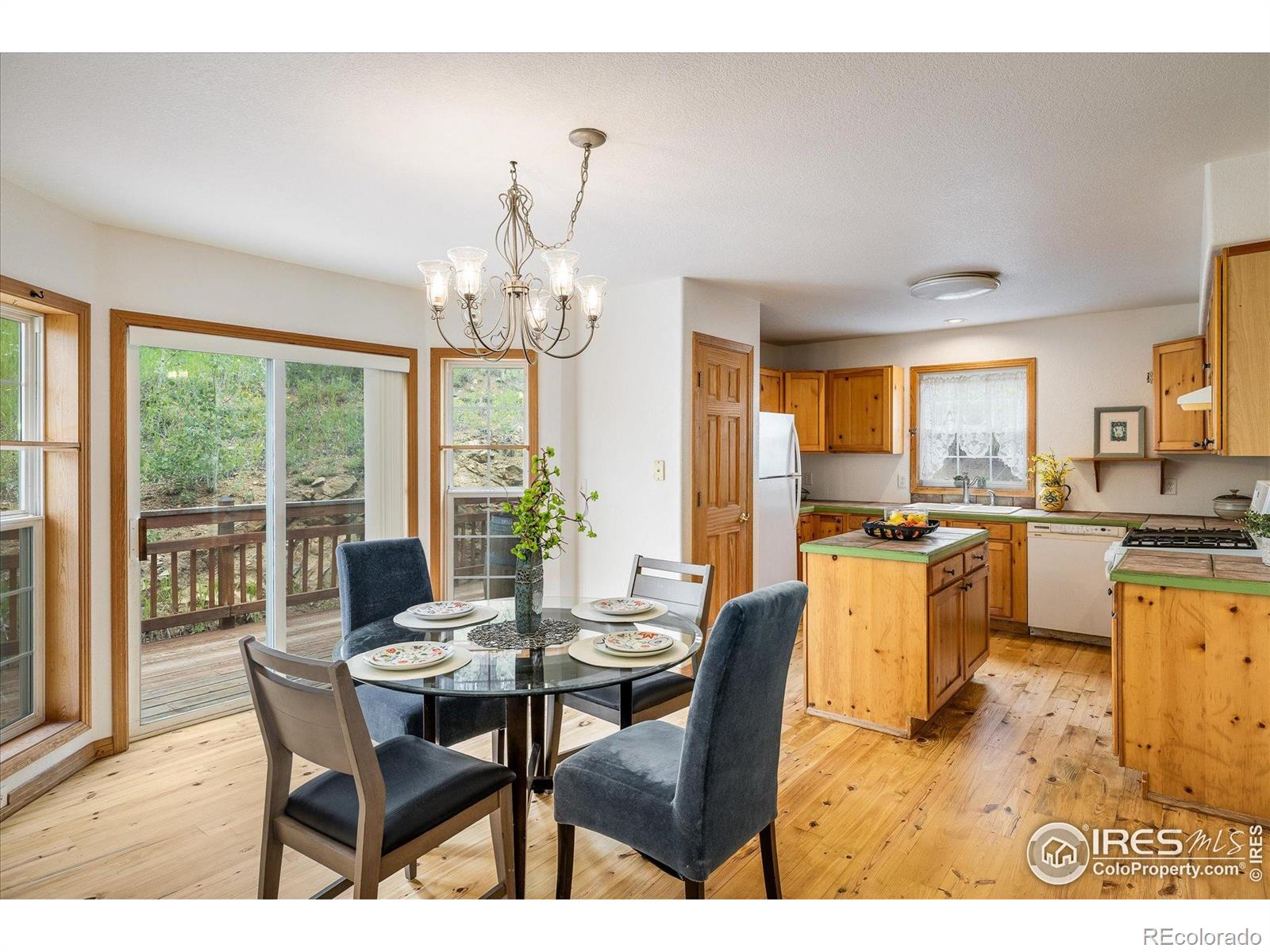 MLS Image #5 for 316  umatilla drive,black hawk, Colorado