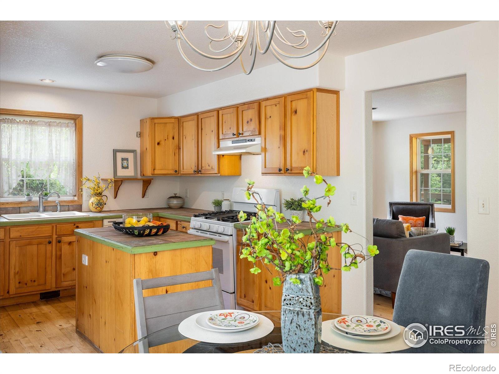 MLS Image #7 for 316  umatilla drive,black hawk, Colorado