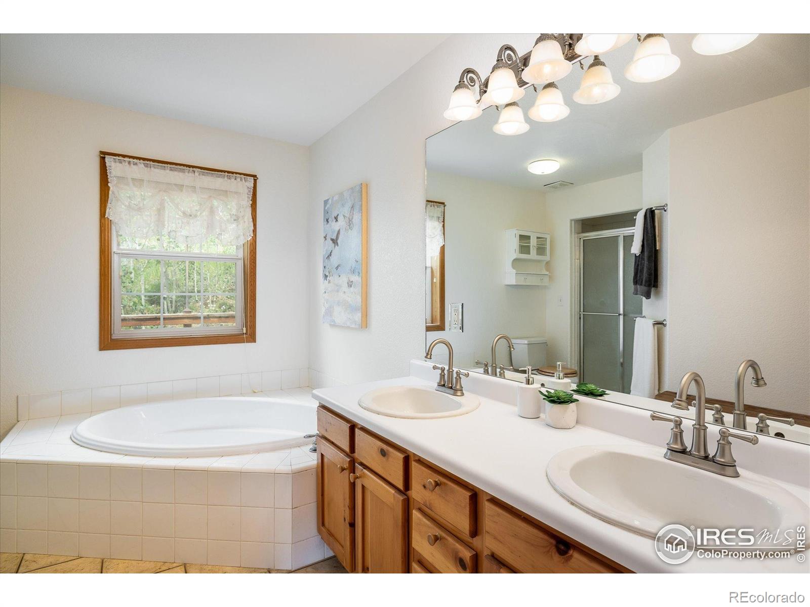 MLS Image #9 for 316  umatilla drive,black hawk, Colorado