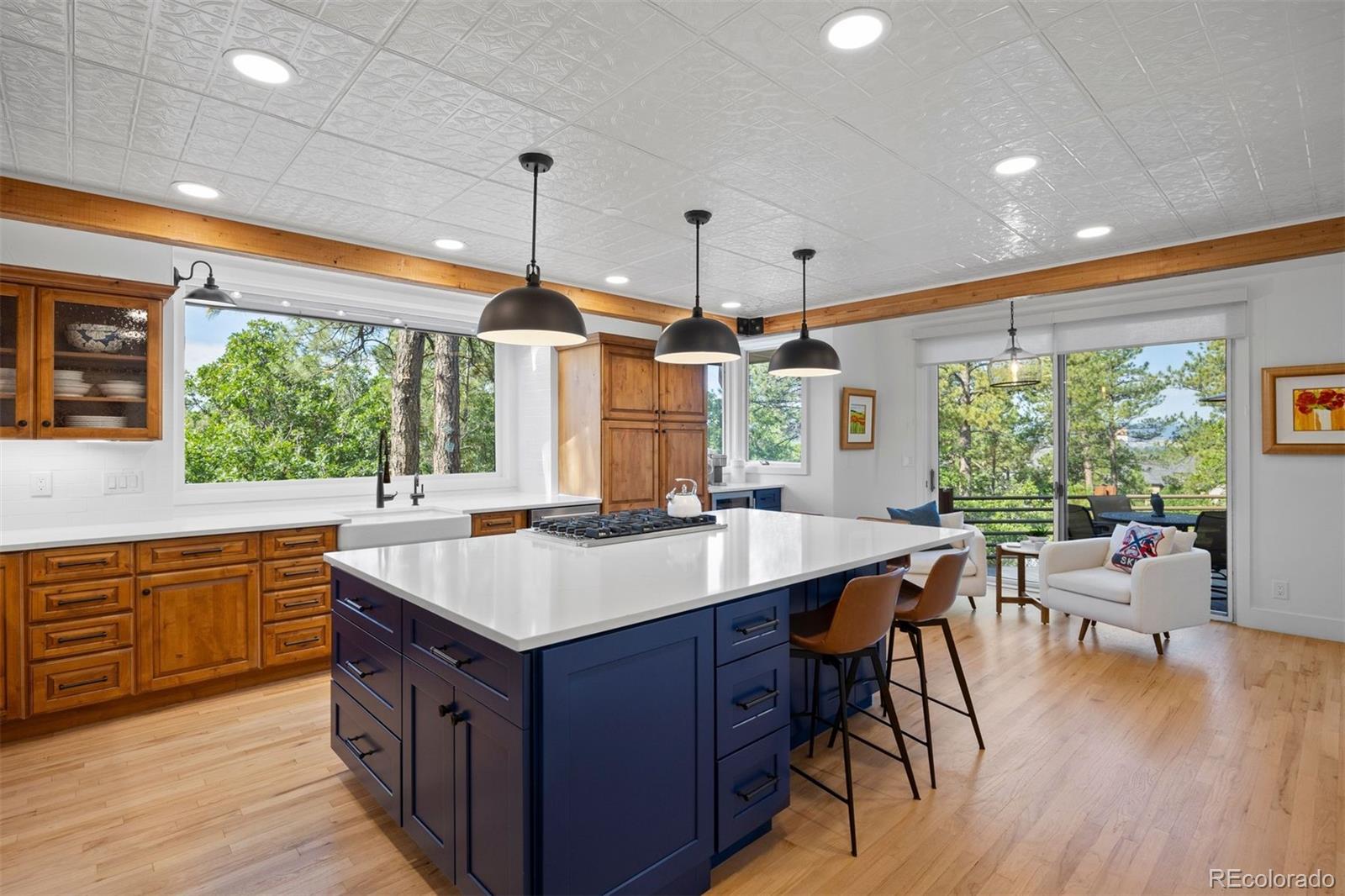 MLS Image #7 for 306  castle pines drive,castle rock, Colorado