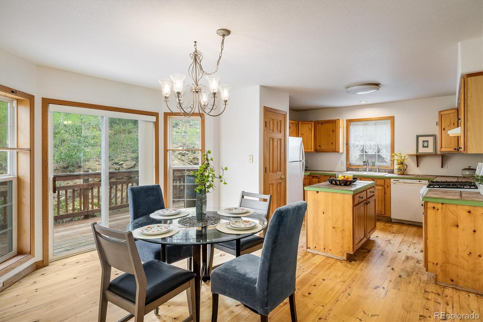 MLS Image #5 for 316  umatilla drive,black hawk, Colorado