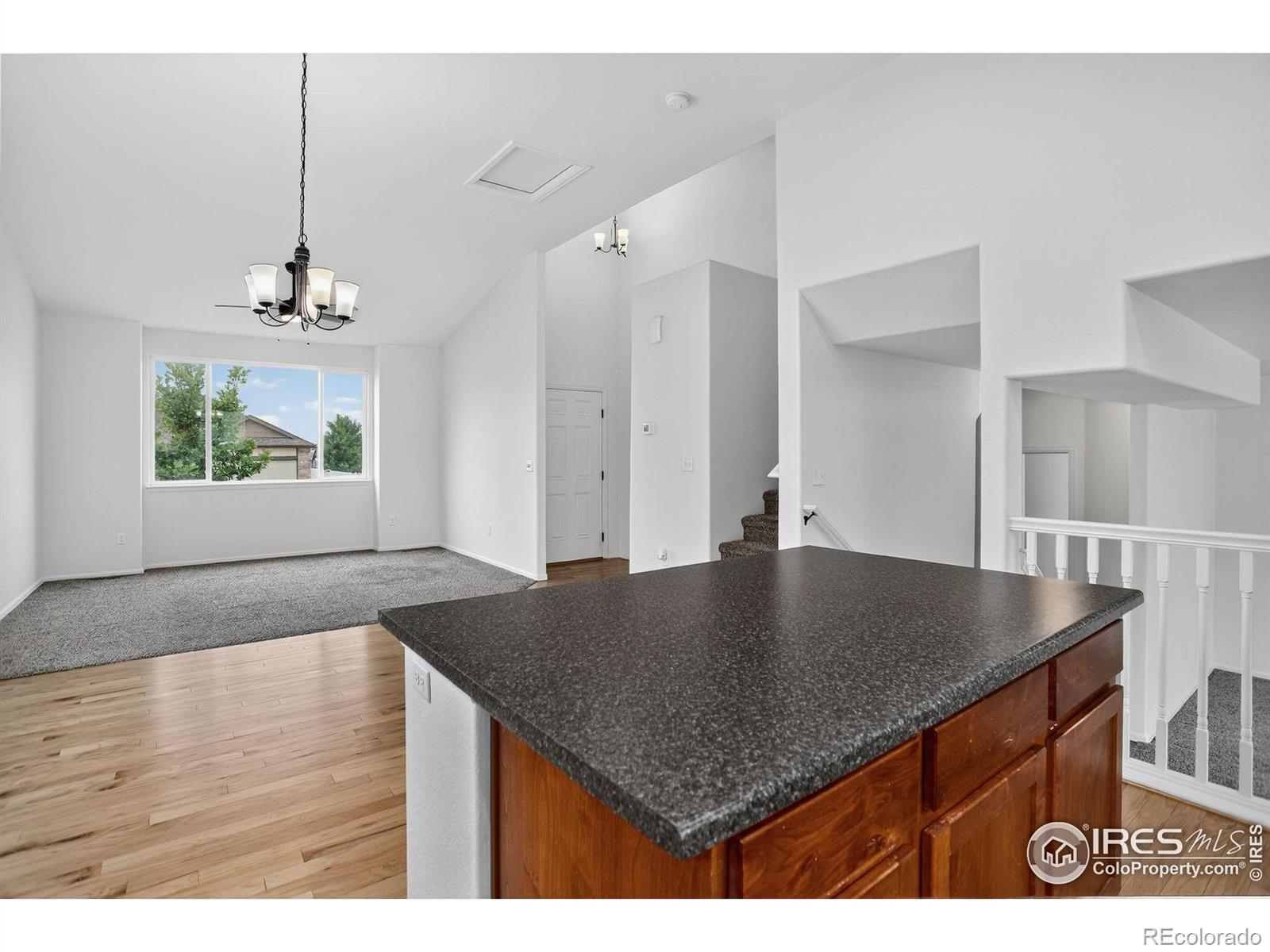 MLS Image #3 for 740  elk mountain drive,severance, Colorado
