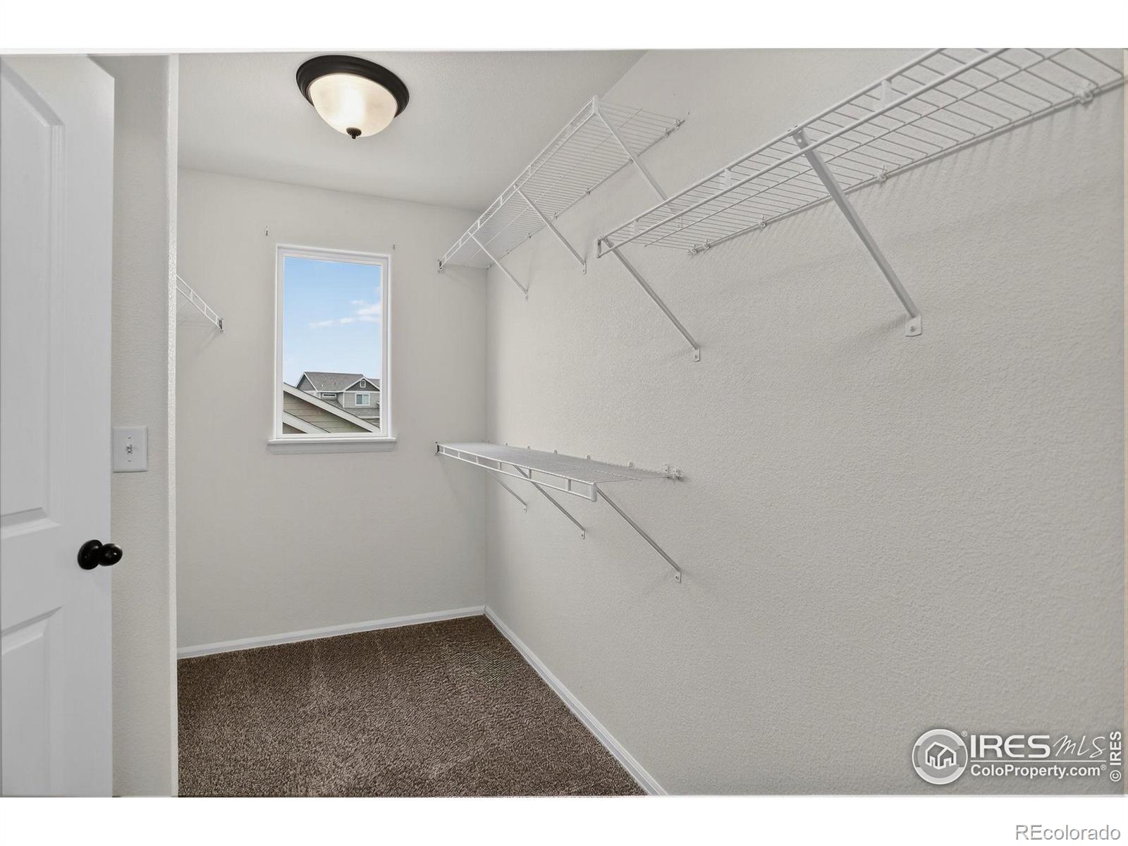MLS Image #9 for 740  elk mountain drive,severance, Colorado