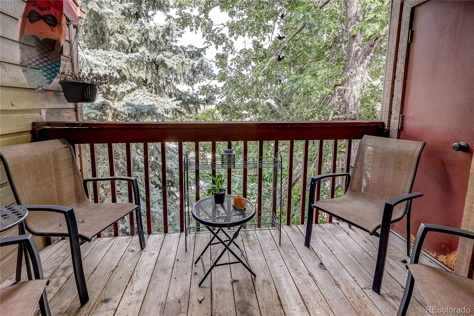 MLS Image #20 for 222  wright street,lakewood, Colorado