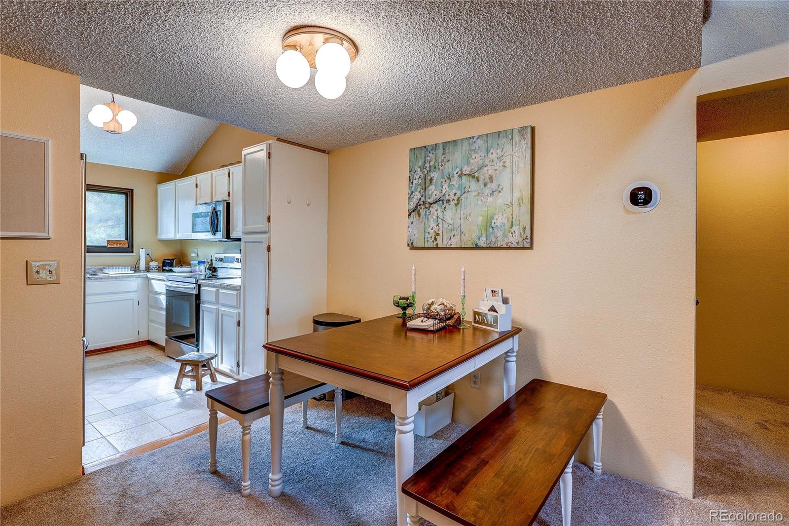 MLS Image #6 for 222  wright street,lakewood, Colorado