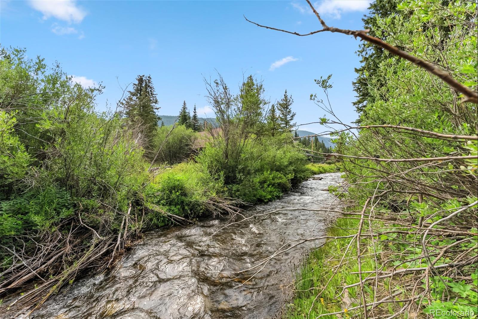 MLS Image #22 for 6270  highway 9 ,breckenridge, Colorado