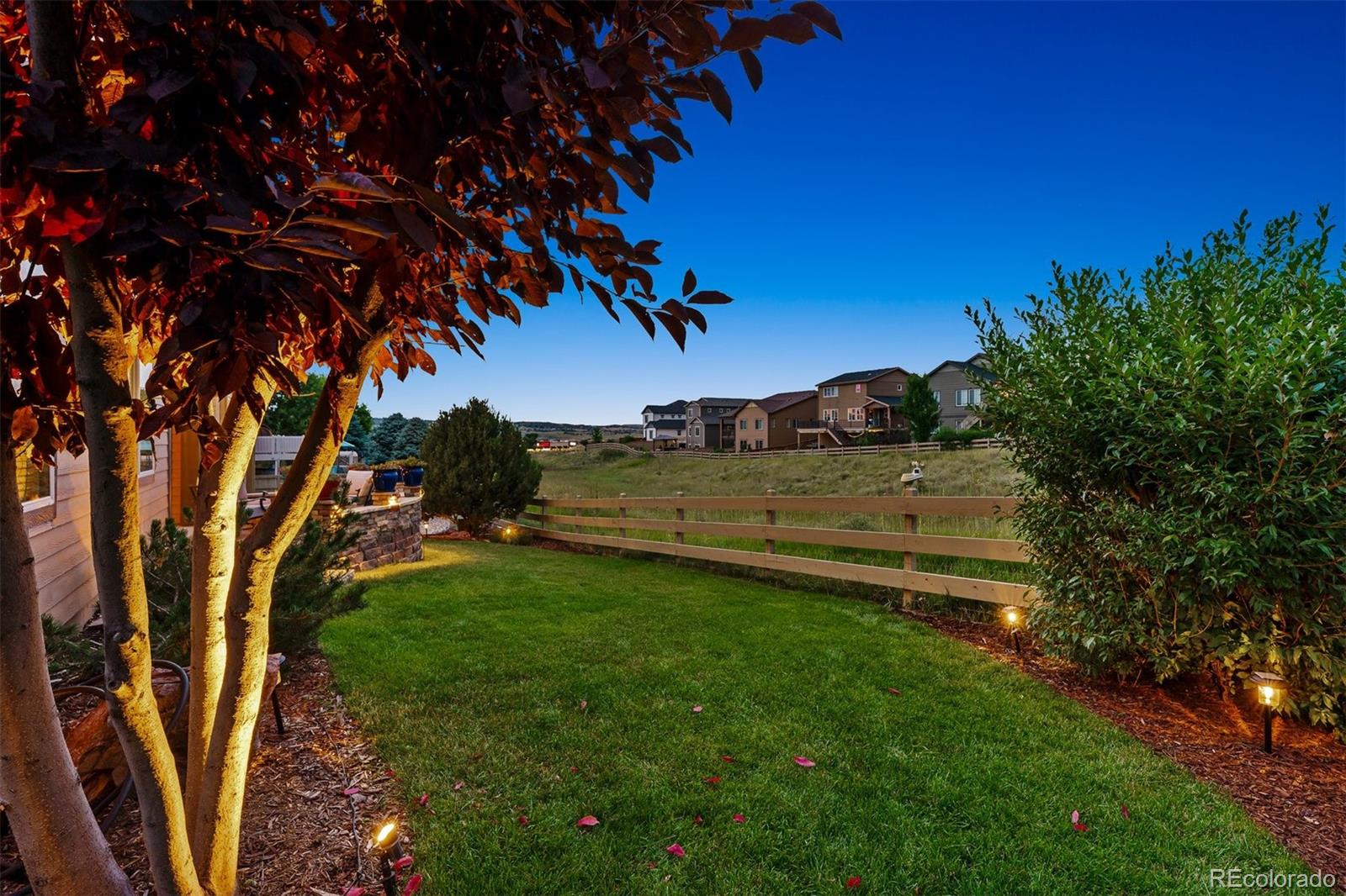 MLS Image #5 for 335  portmeirion lane,castle rock, Colorado