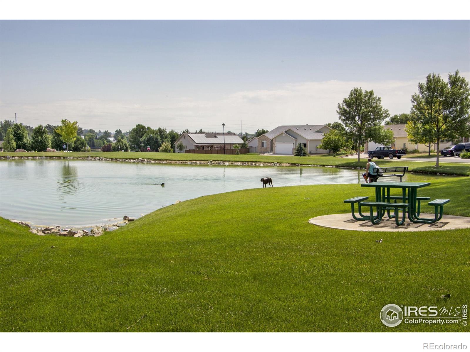 MLS Image #39 for 1462  moraine valley drive,severance, Colorado