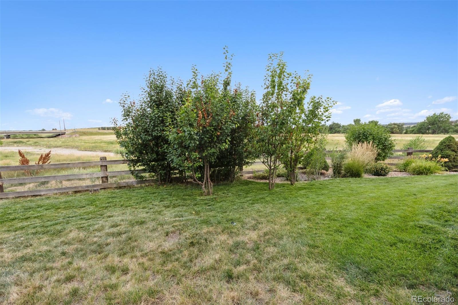 MLS Image #37 for 4958  bayou gulch street,parker, Colorado