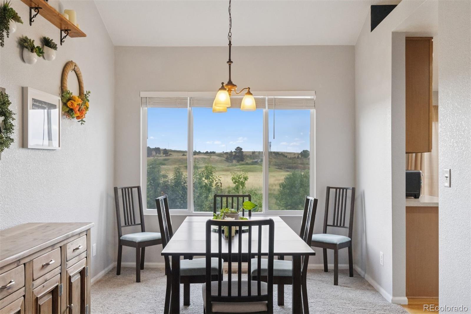 MLS Image #8 for 4958  bayou gulch street,parker, Colorado