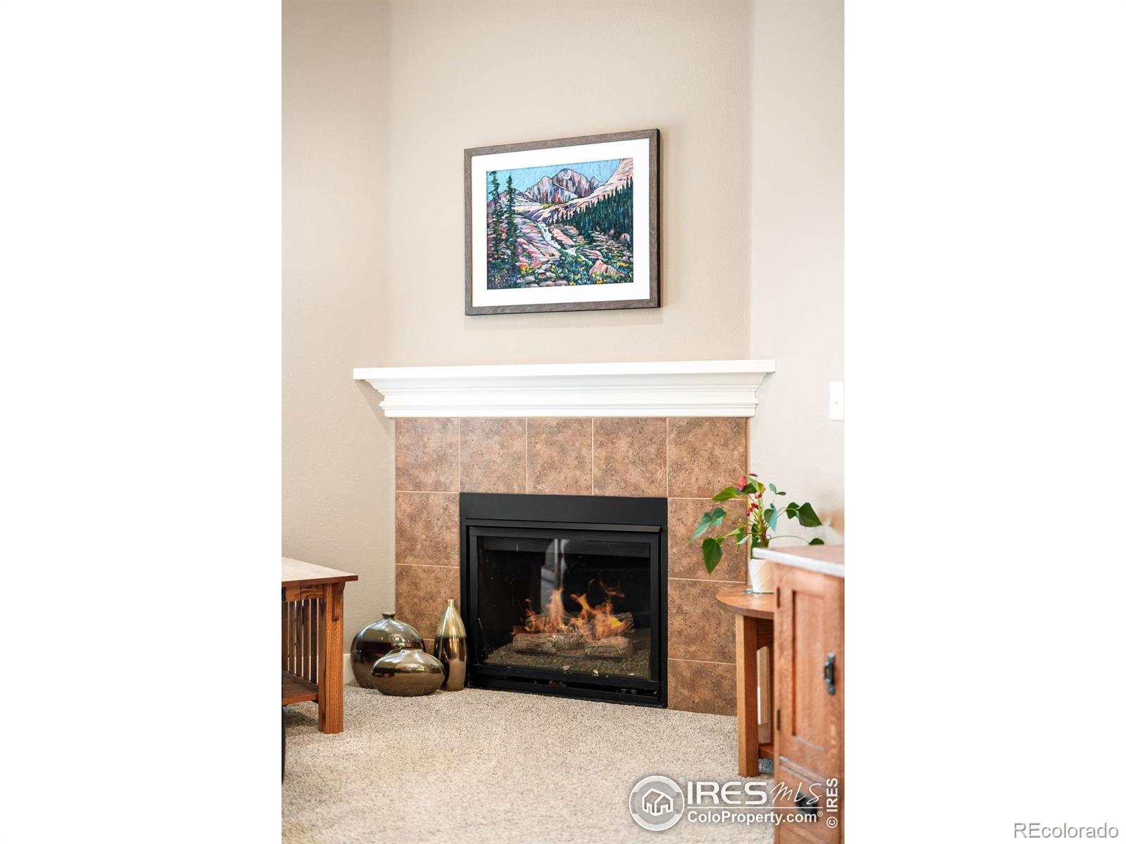MLS Image #16 for 1152  village circle,erie, Colorado