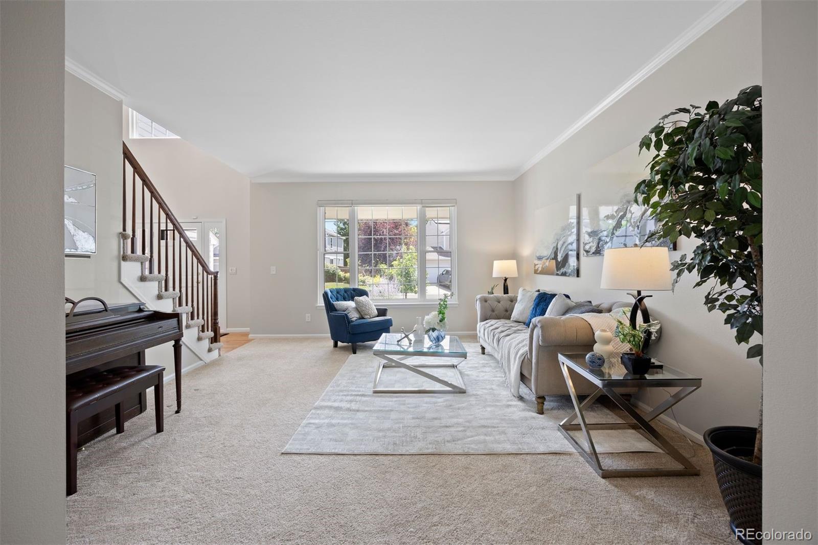 MLS Image #10 for 10201  mountain maple drive,highlands ranch, Colorado