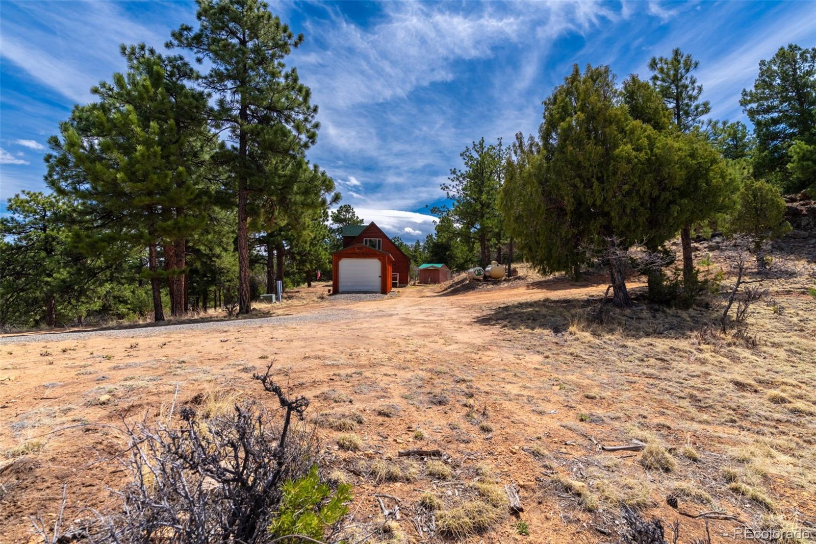 MLS Image #1 for 1136  bird point drive,cotopaxi, Colorado