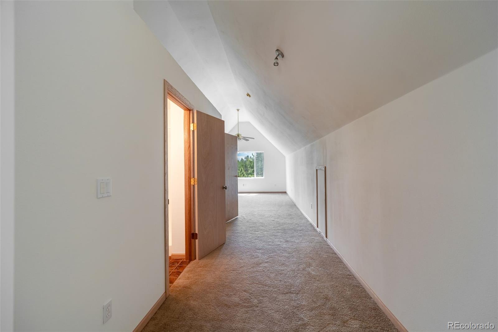 MLS Image #13 for 1136  bird point drive,cotopaxi, Colorado