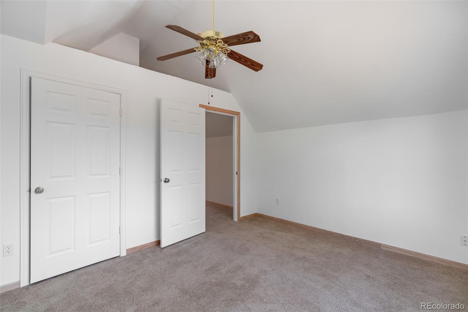 MLS Image #14 for 1136  bird point drive,cotopaxi, Colorado