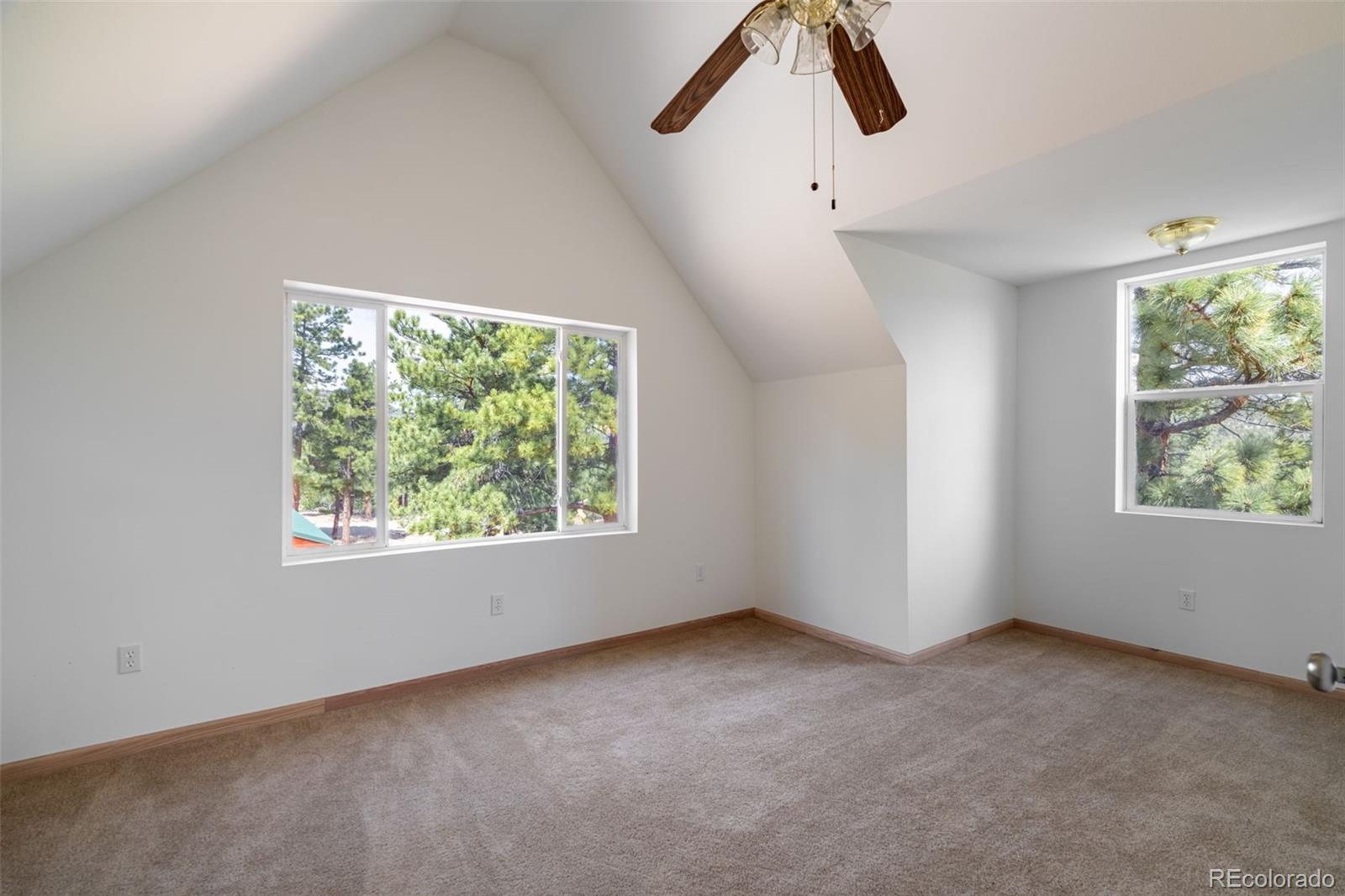 MLS Image #15 for 1136  bird point drive,cotopaxi, Colorado