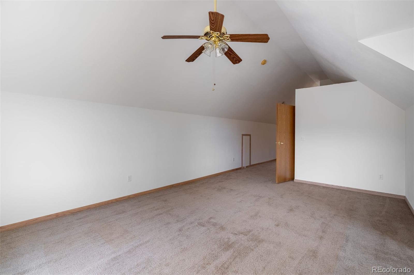 MLS Image #17 for 1136  bird point drive,cotopaxi, Colorado