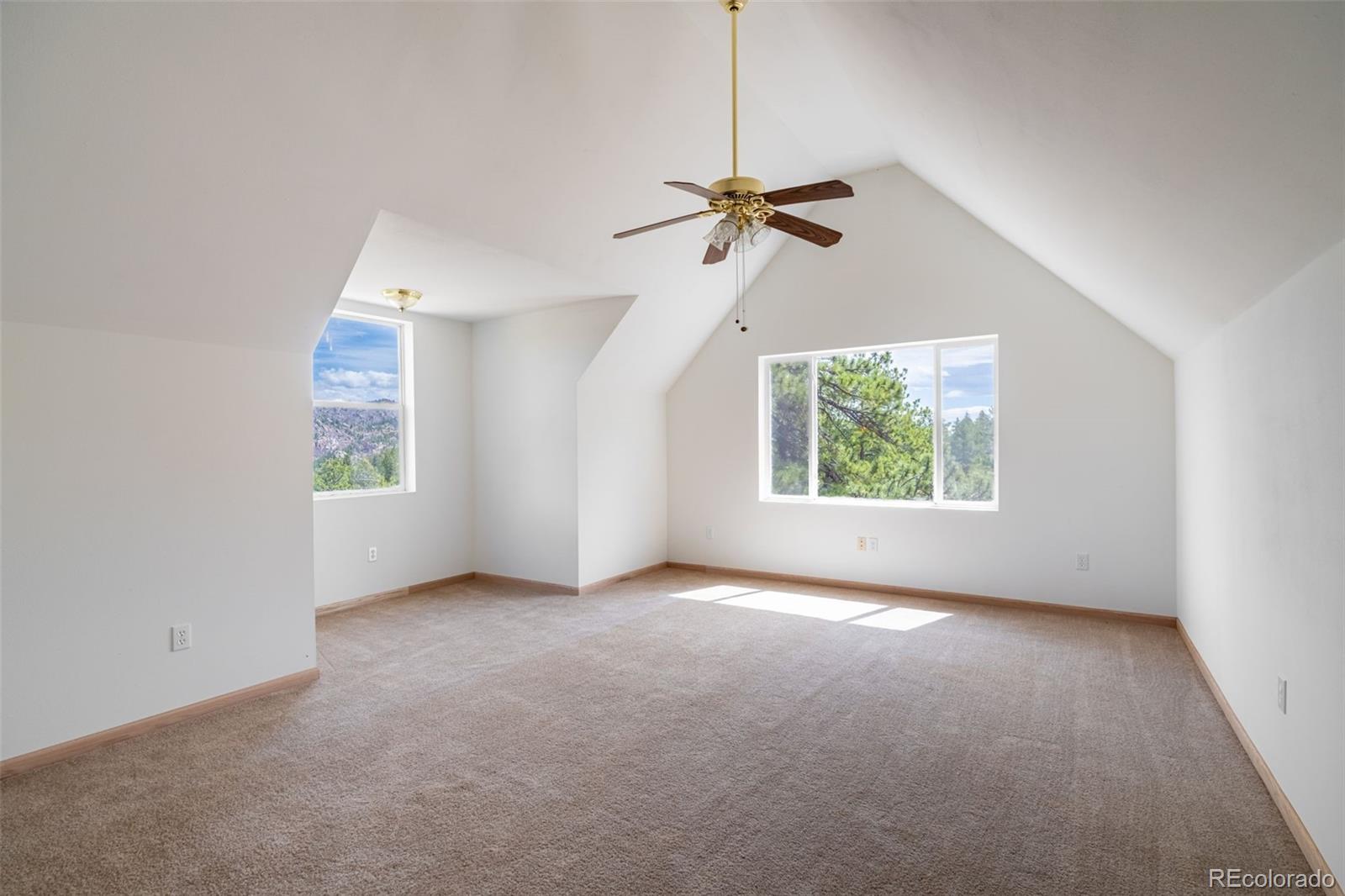 MLS Image #18 for 1136  bird point drive,cotopaxi, Colorado