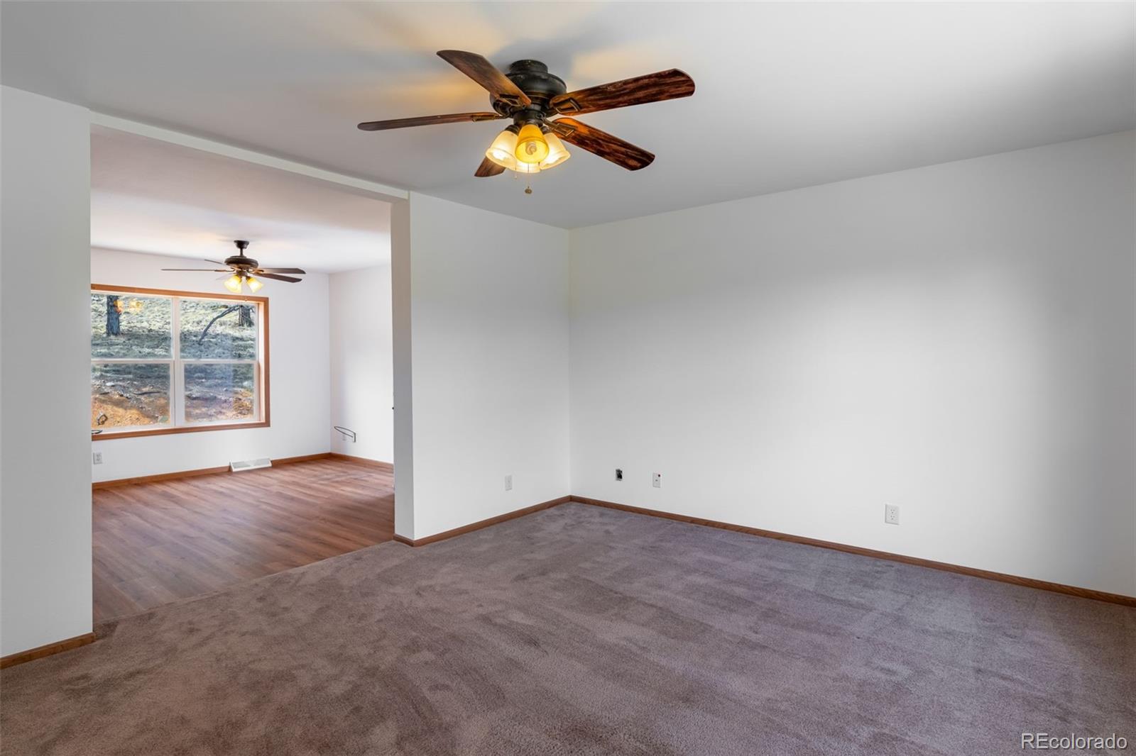 MLS Image #19 for 1136  bird point drive,cotopaxi, Colorado