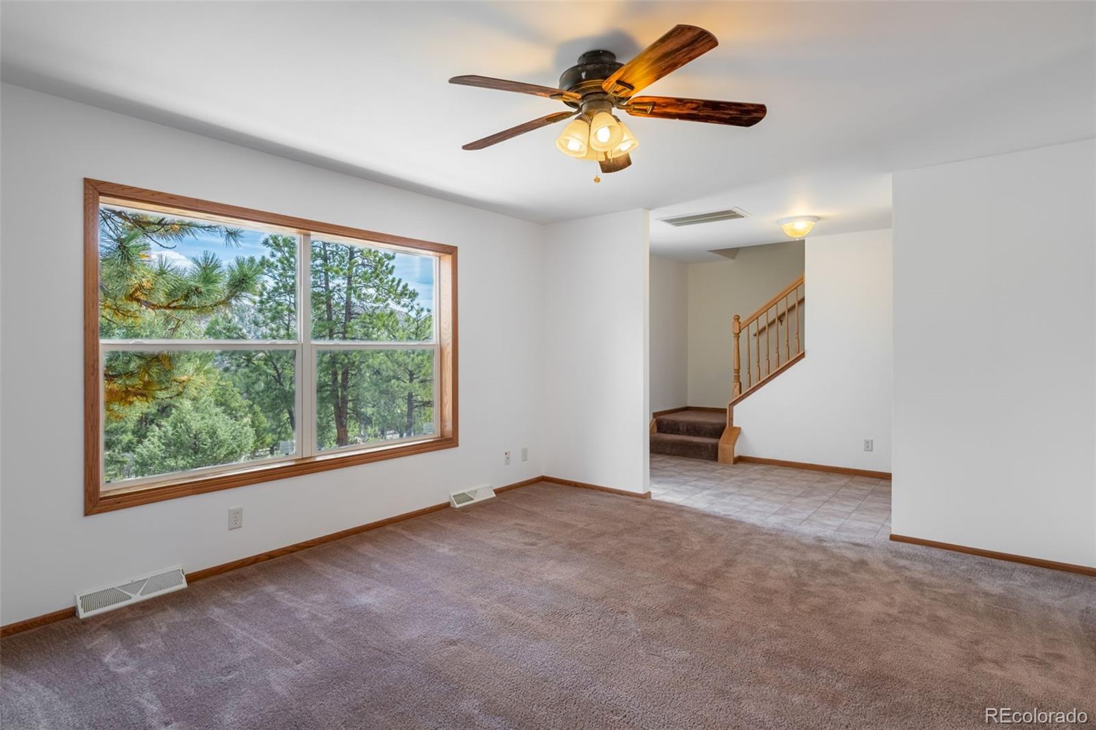 MLS Image #20 for 1136  bird point drive,cotopaxi, Colorado