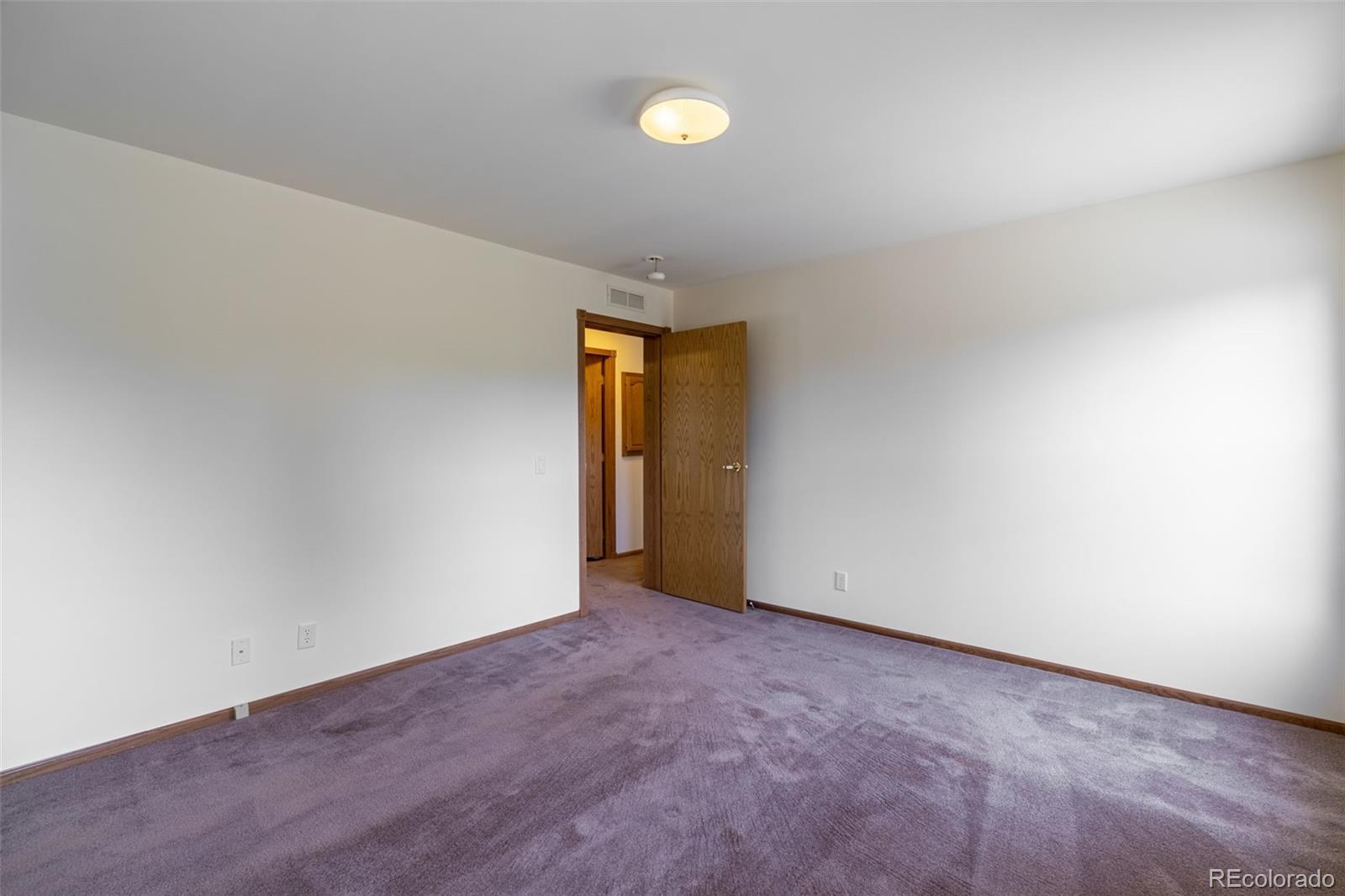 MLS Image #28 for 1136  bird point drive,cotopaxi, Colorado