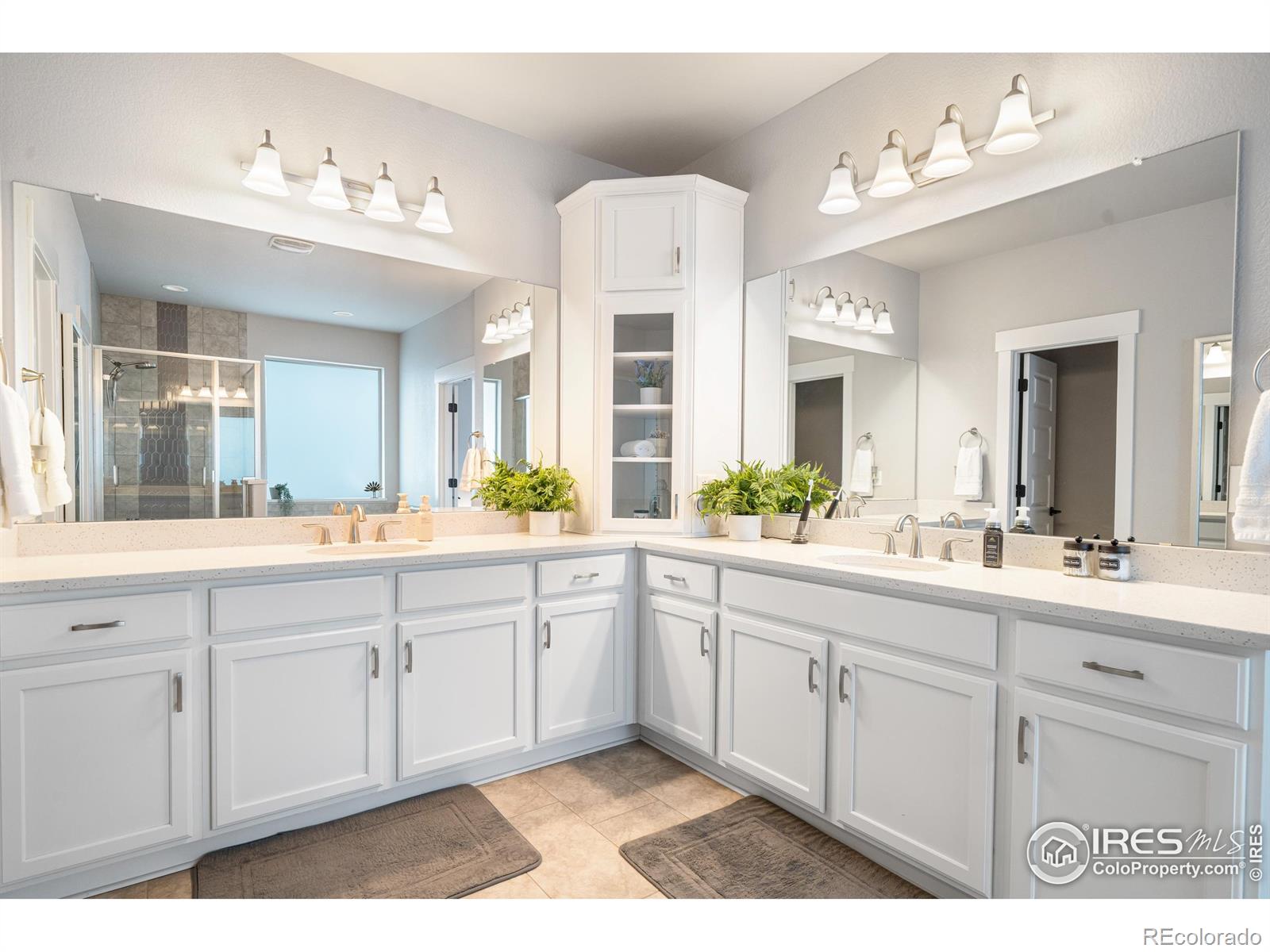 MLS Image #3 for 2102  bouquet drive,windsor, Colorado