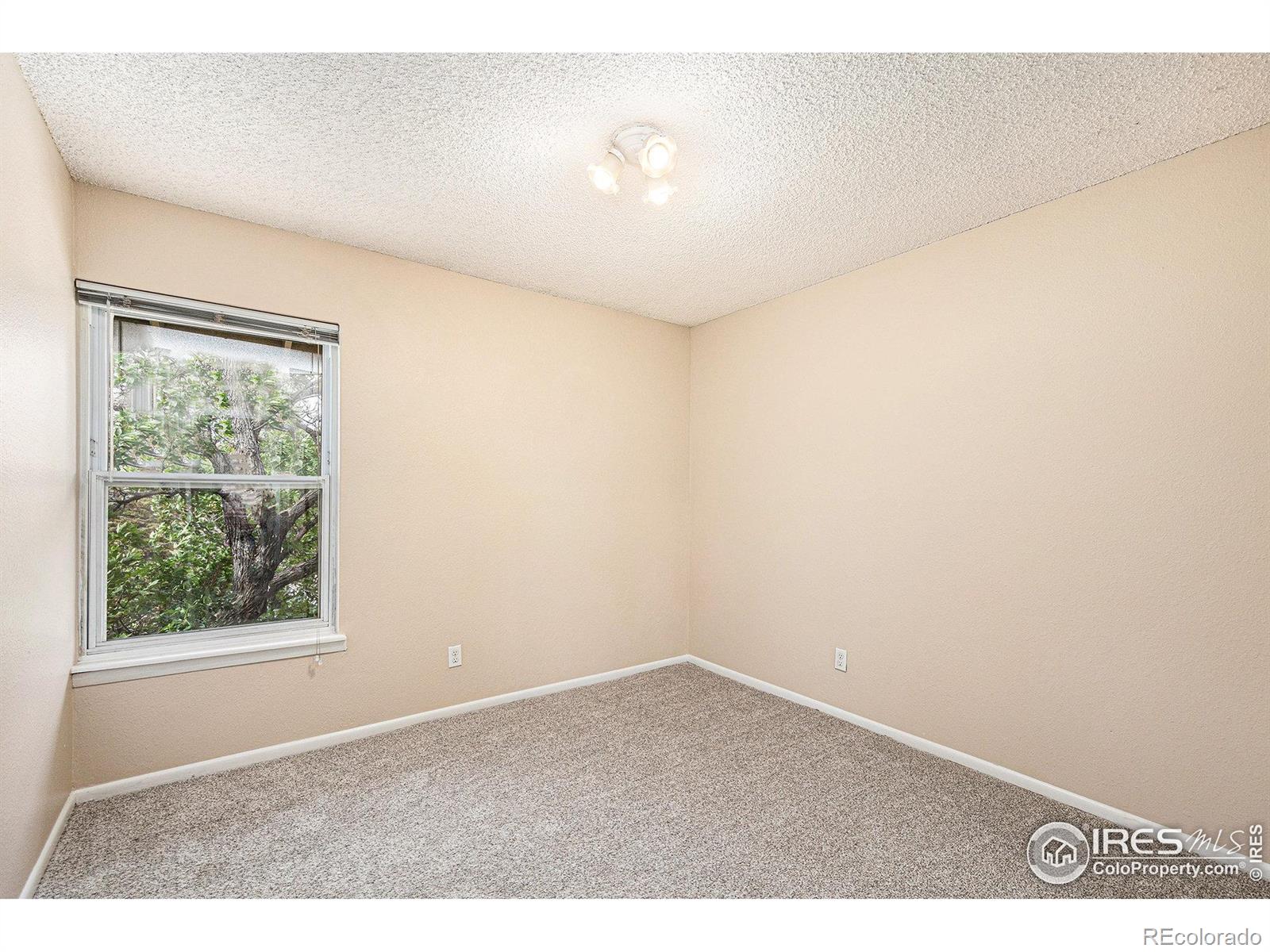 MLS Image #12 for 12142  huron street,denver, Colorado