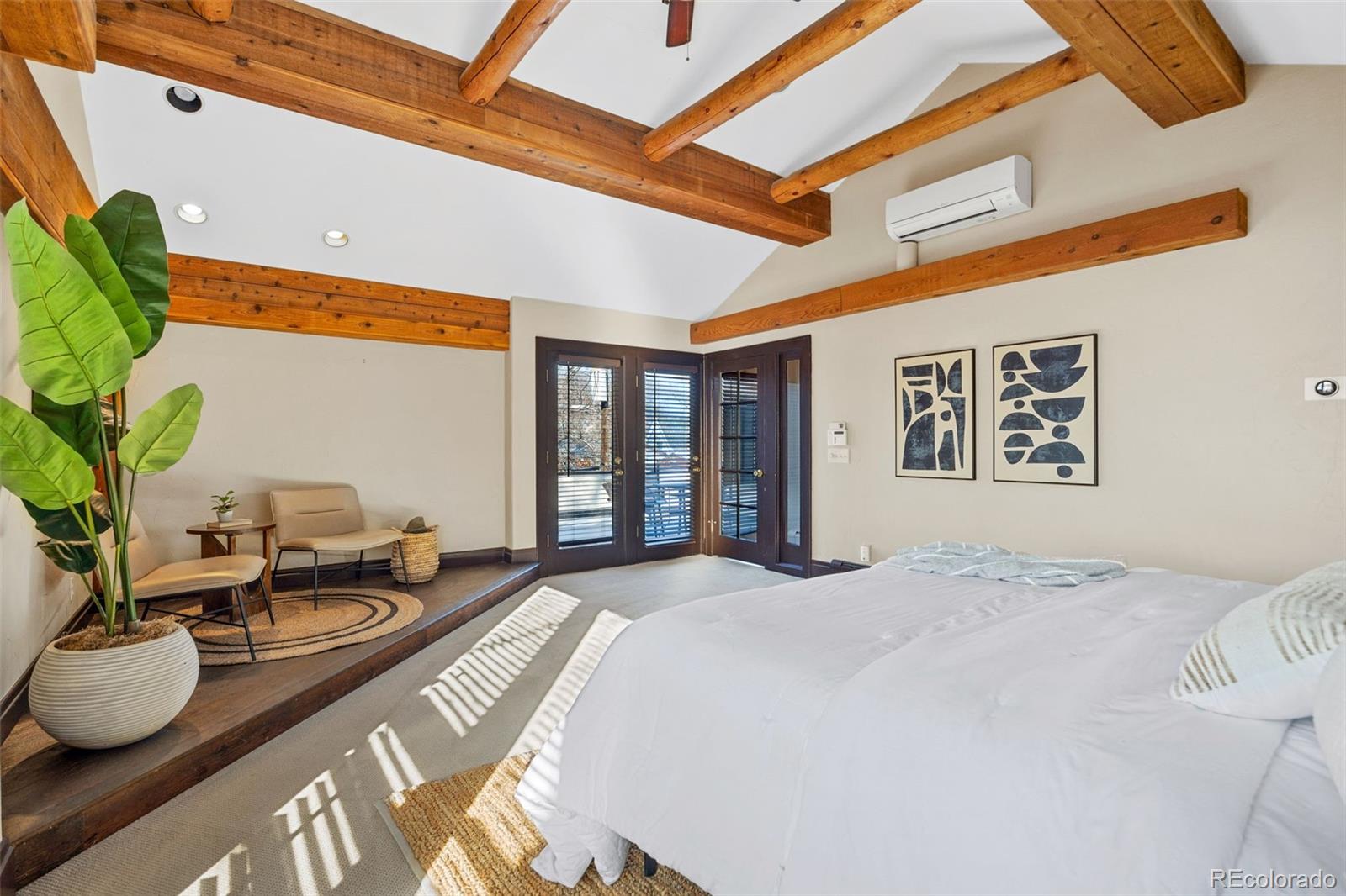 MLS Image #16 for 229  albion street,denver, Colorado