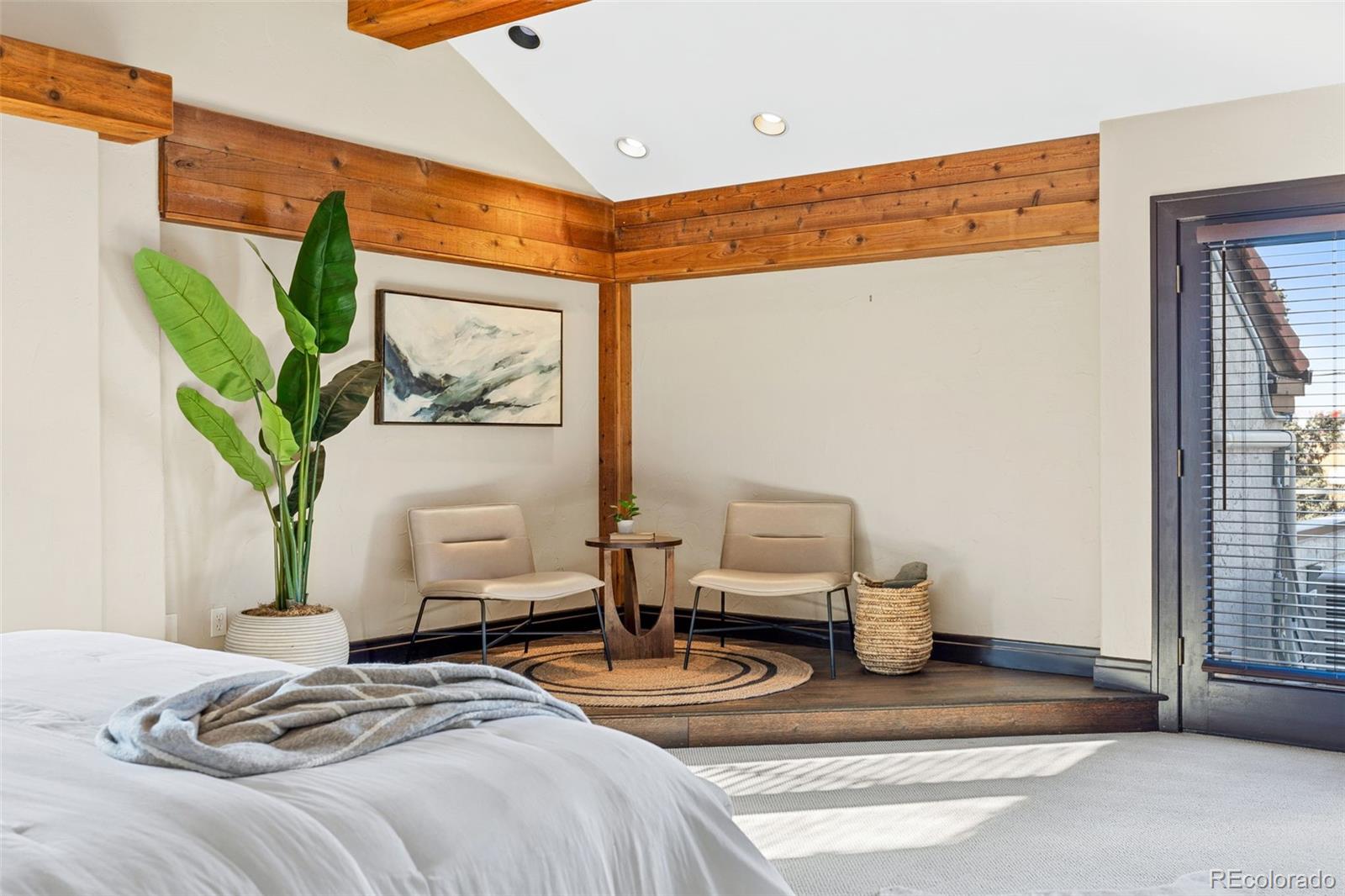 MLS Image #18 for 229  albion street,denver, Colorado