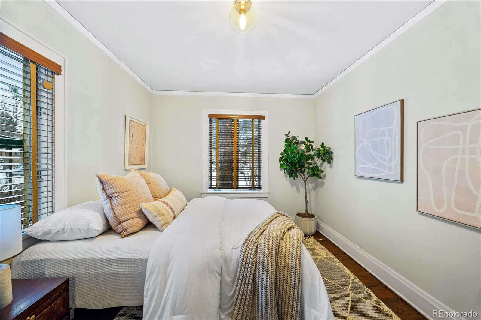 MLS Image #24 for 229  albion street,denver, Colorado