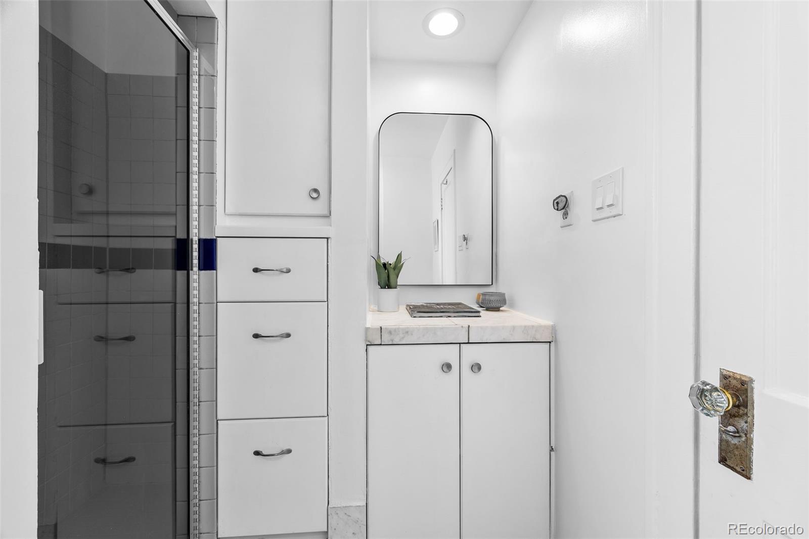 MLS Image #29 for 229  albion street,denver, Colorado