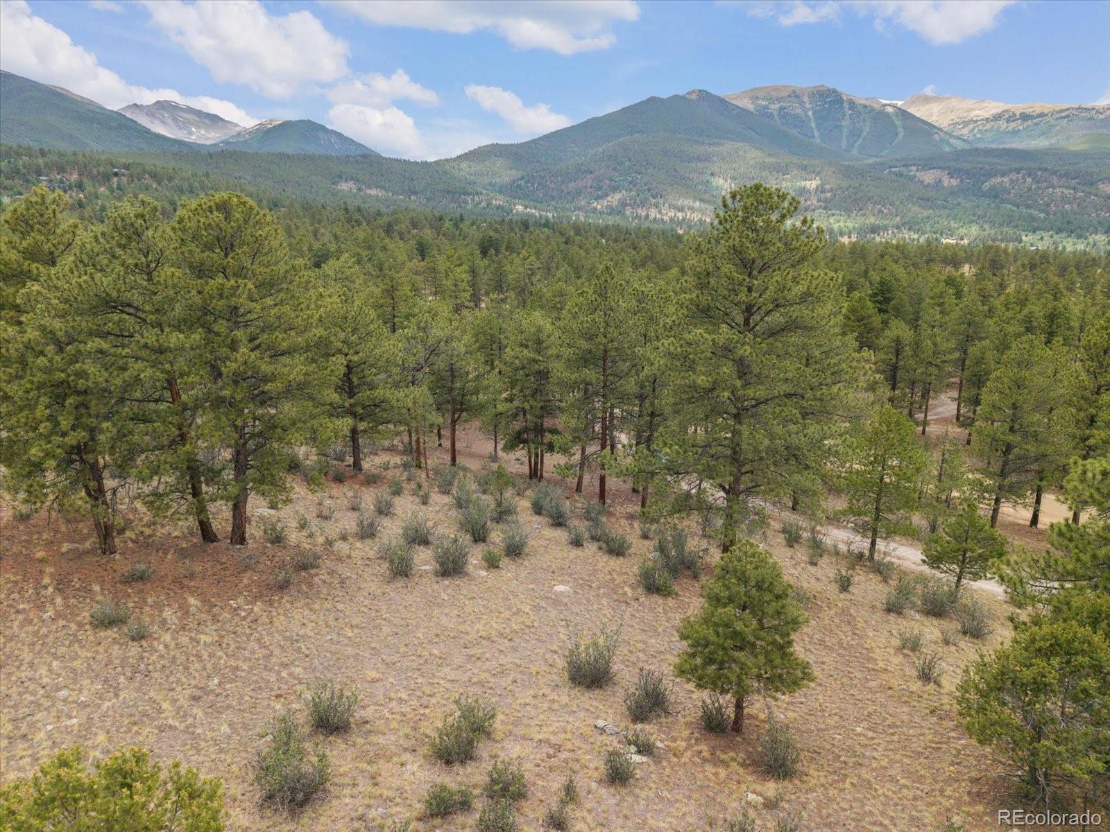 MLS Image #42 for 30930  west ridge,buena vista, Colorado
