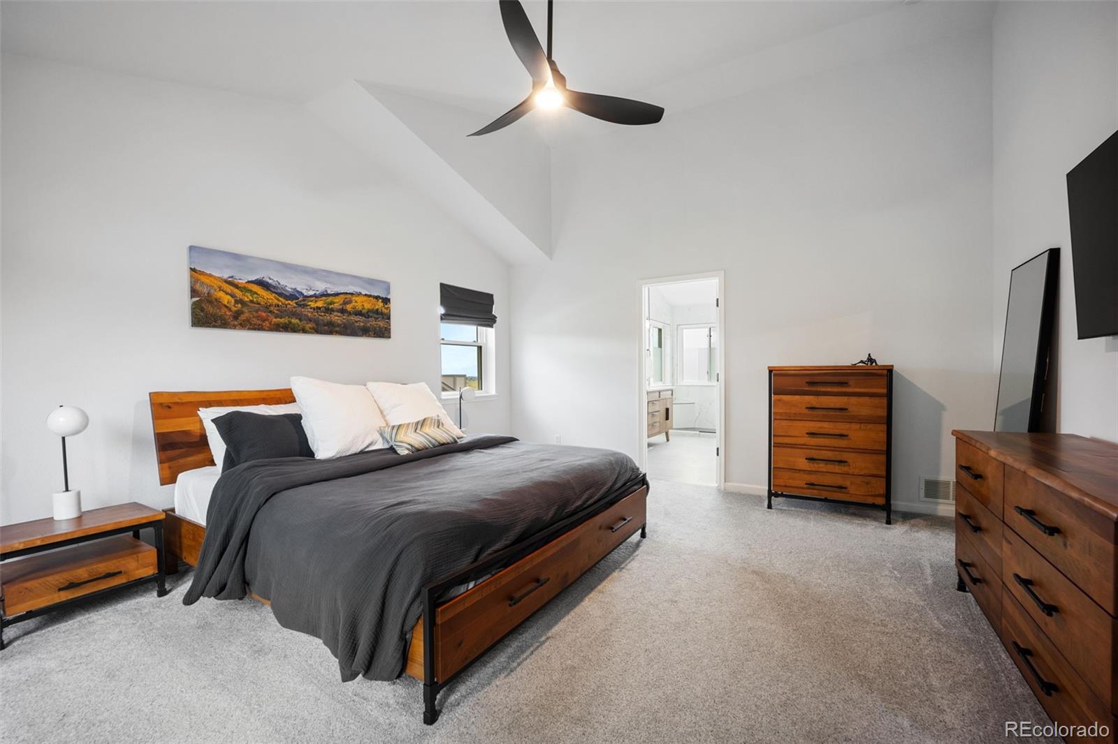 MLS Image #20 for 1025  war eagle drive,colorado springs, Colorado