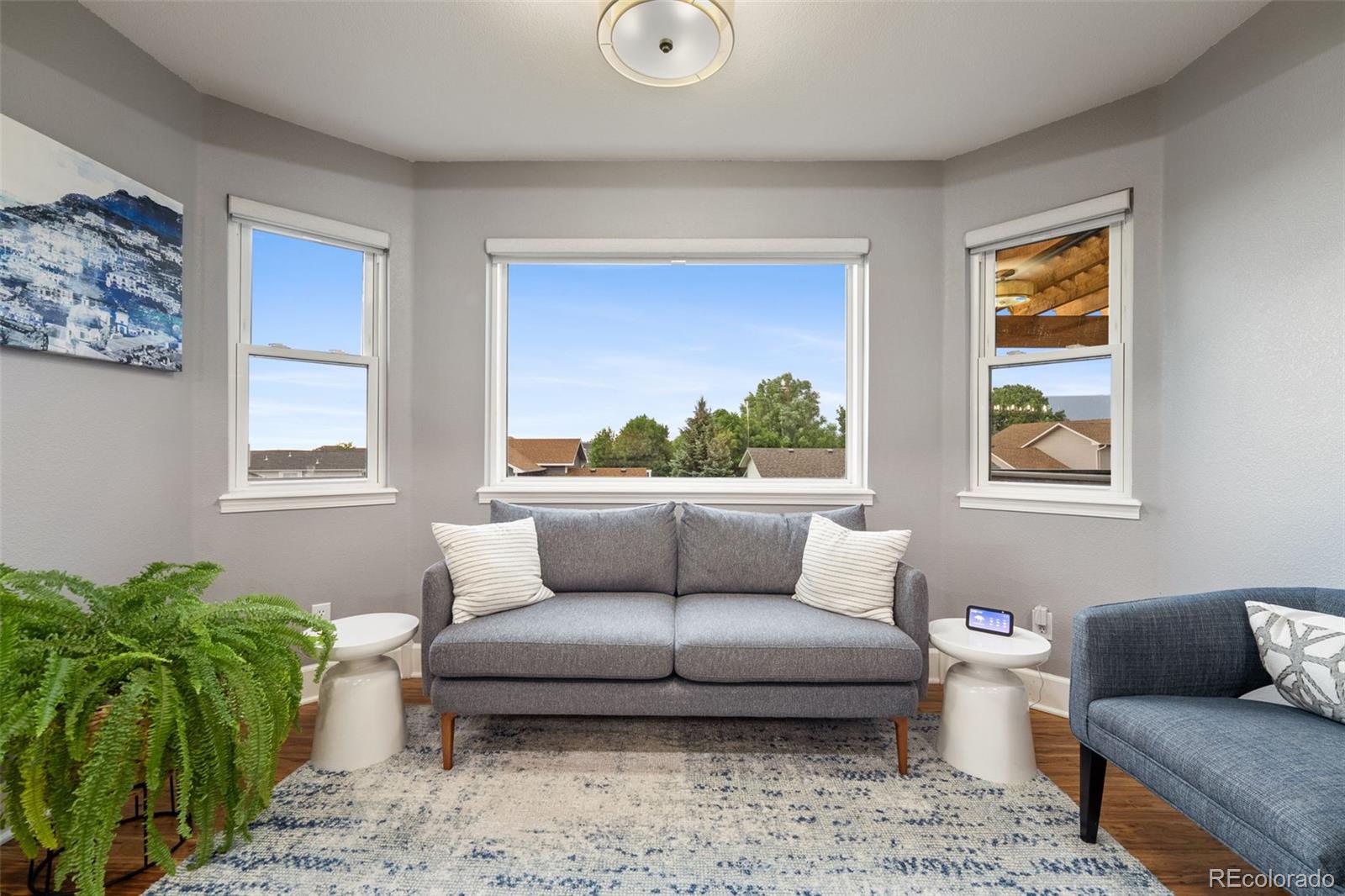 MLS Image #8 for 1025  war eagle drive,colorado springs, Colorado