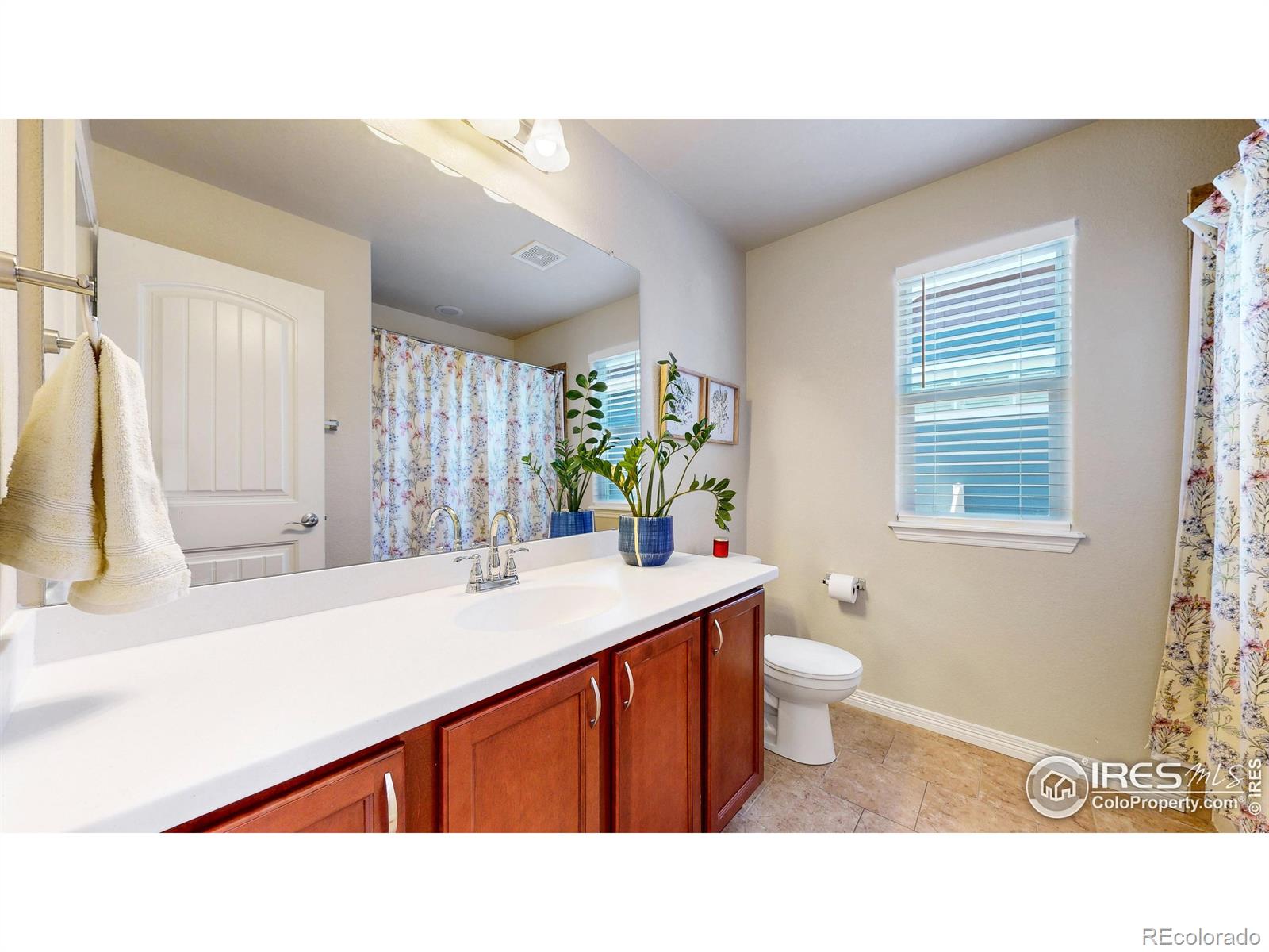 MLS Image #17 for 4605  freehold drive,windsor, Colorado